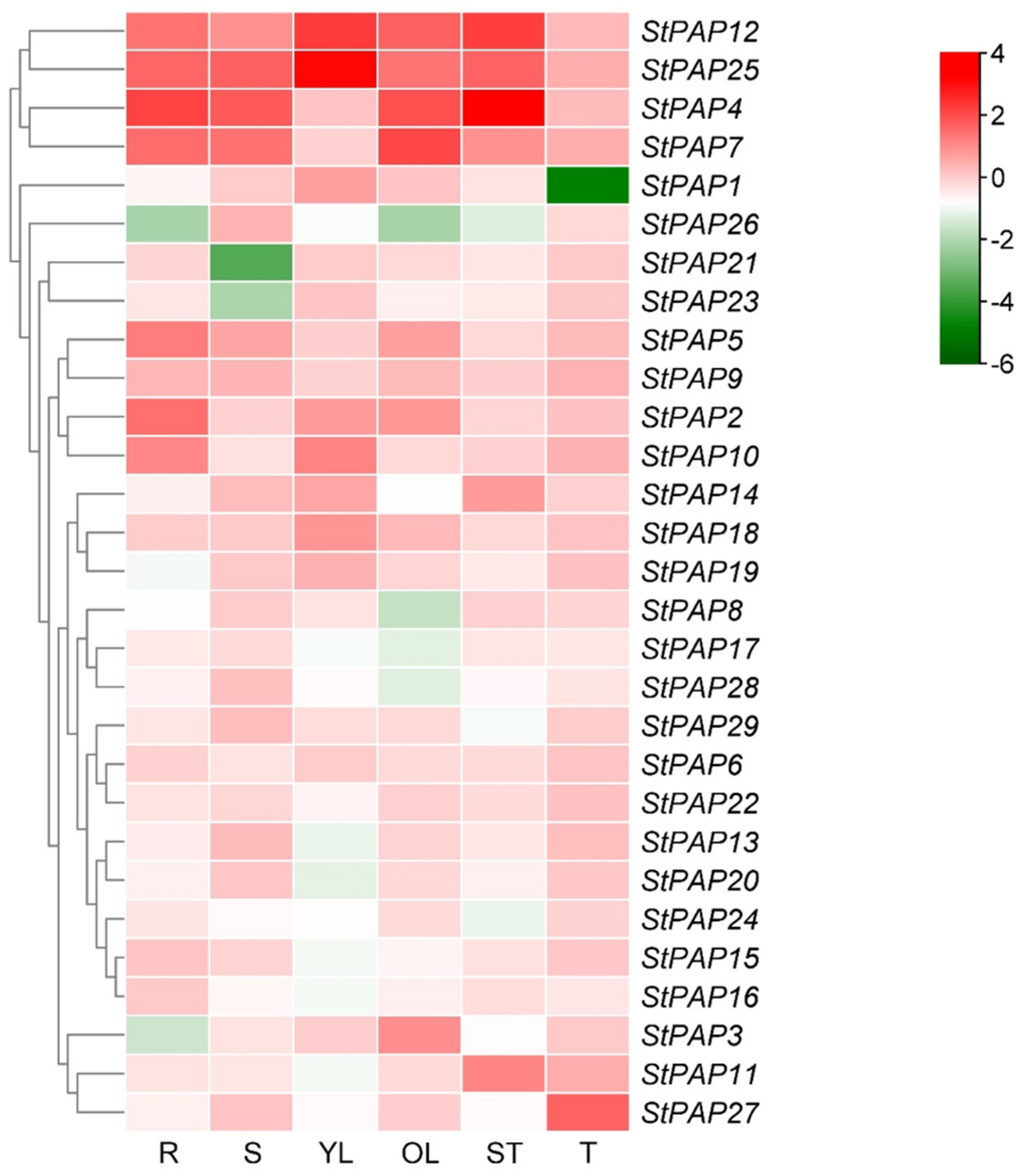 Agronomy 14 02735 g008