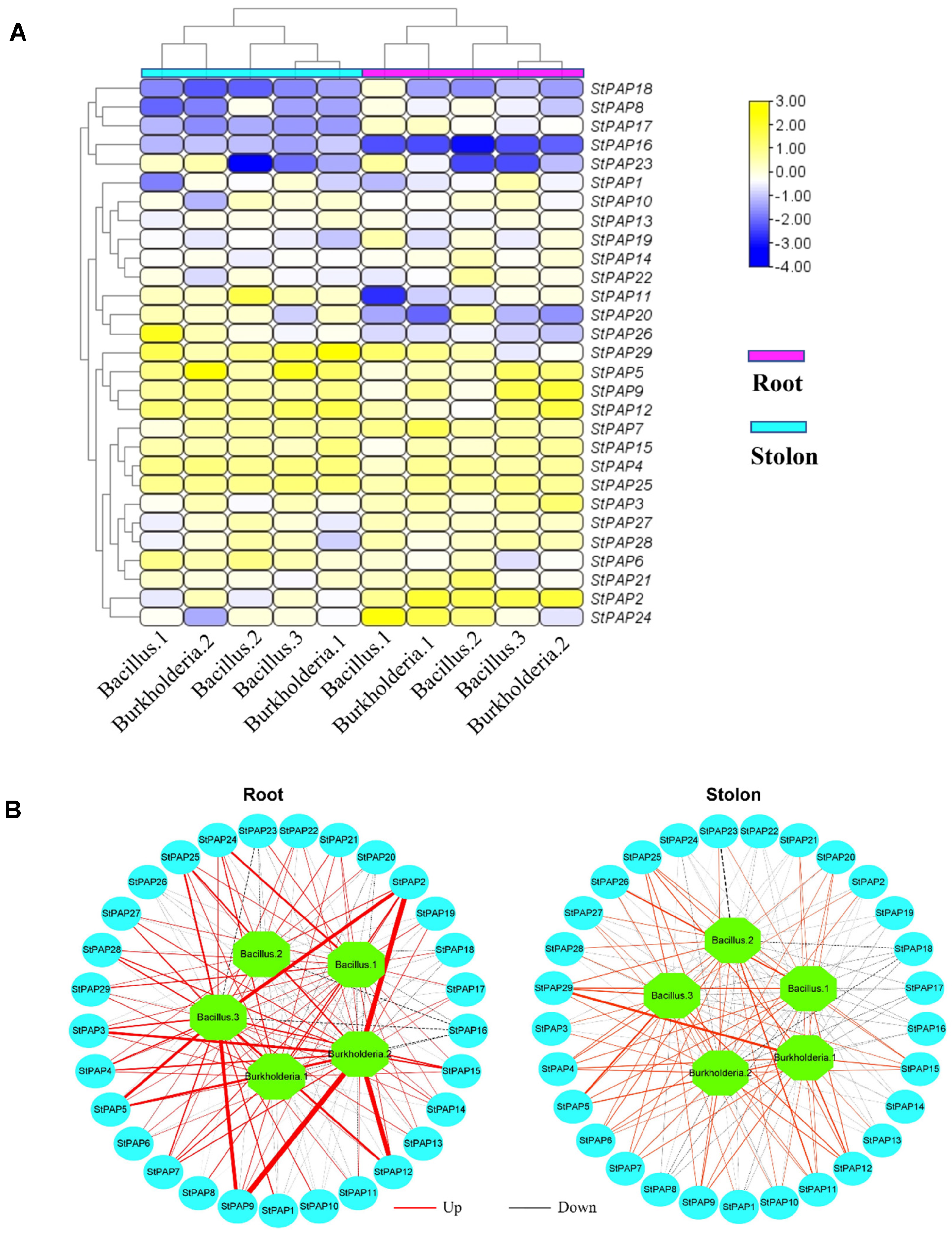 Agronomy 14 02735 g009