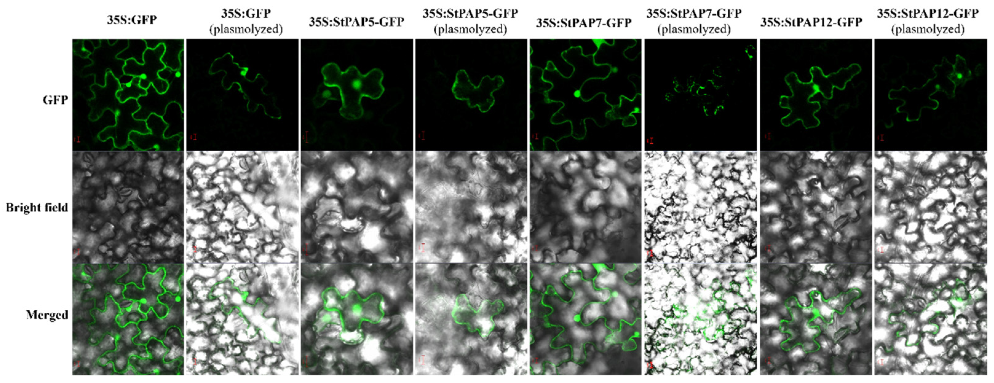 Agronomy 14 02735 g014