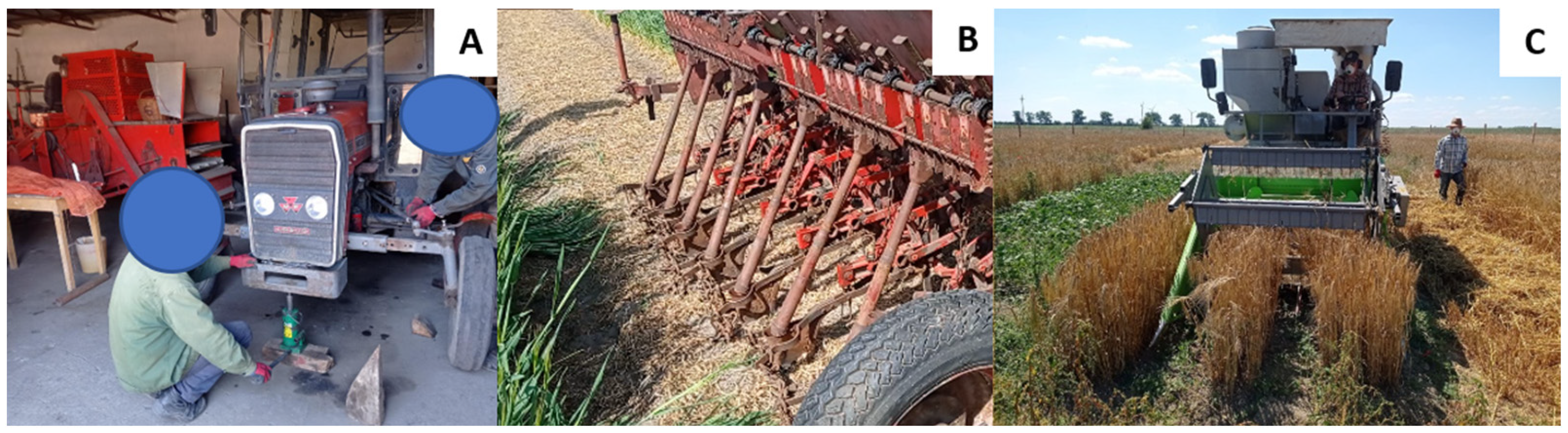 Agronomy 14 02736 g005