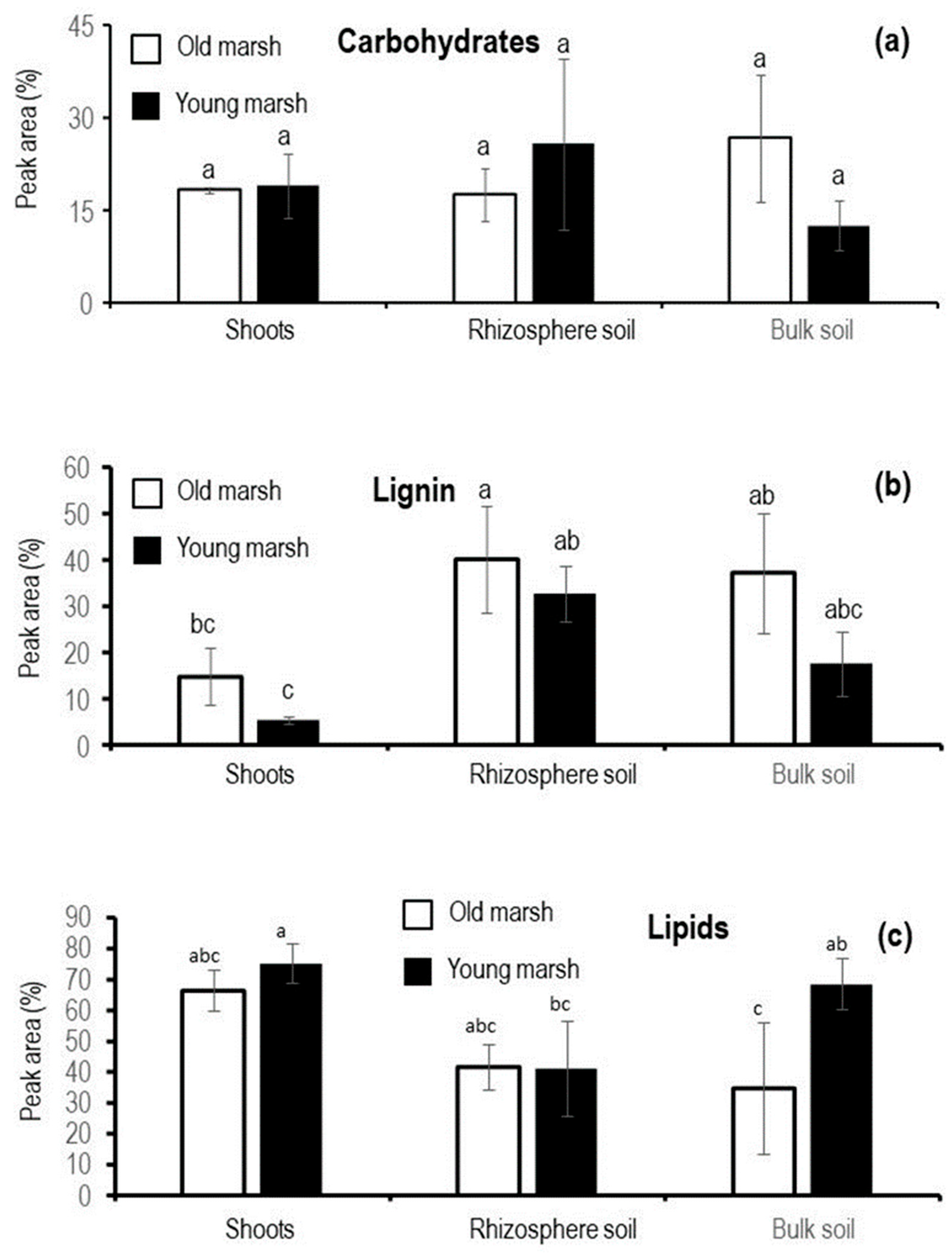 Agronomy 14 02740 g001
