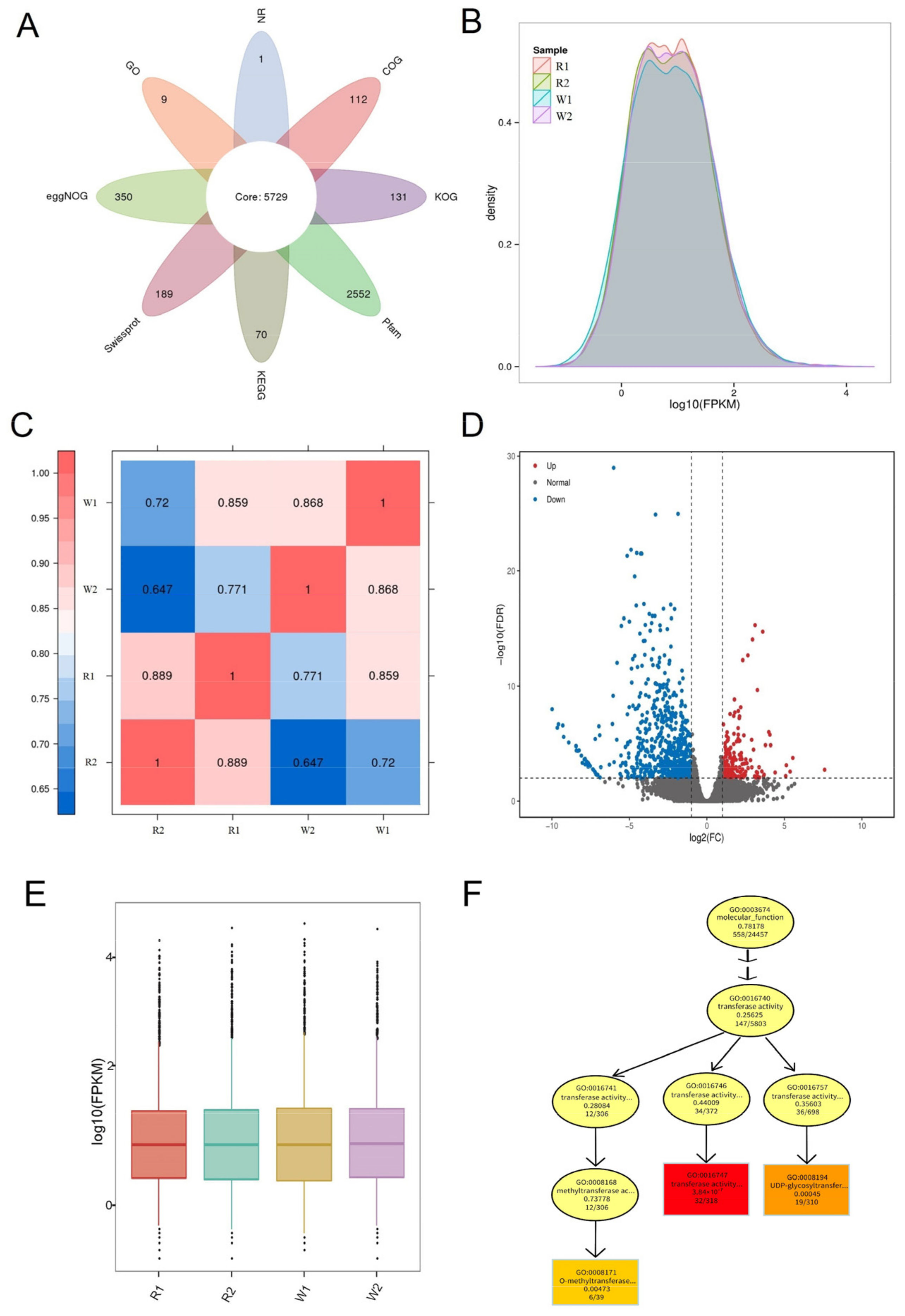 Agronomy 14 02748 g002 Agronomy 14 02748 g002