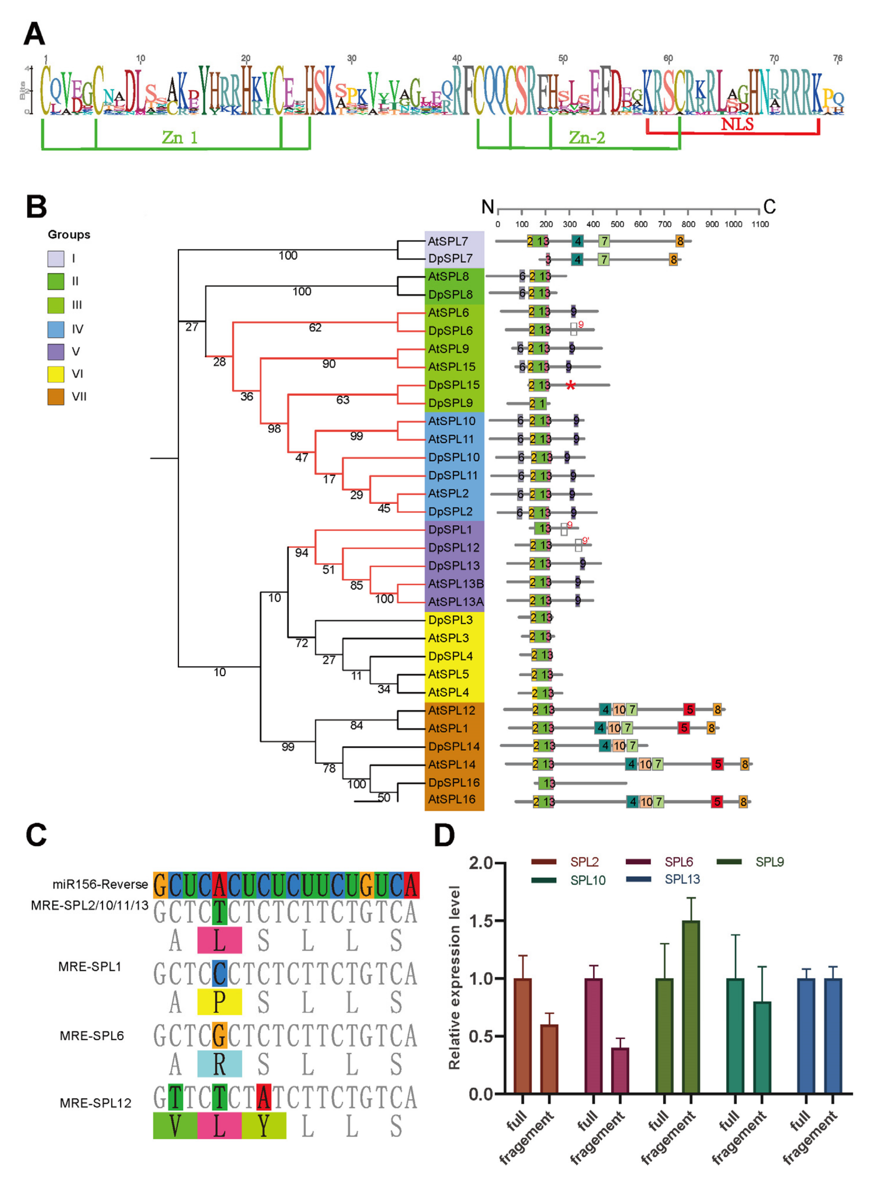 Agronomy 14 02748 g004 Agronomy 14 02748 g004