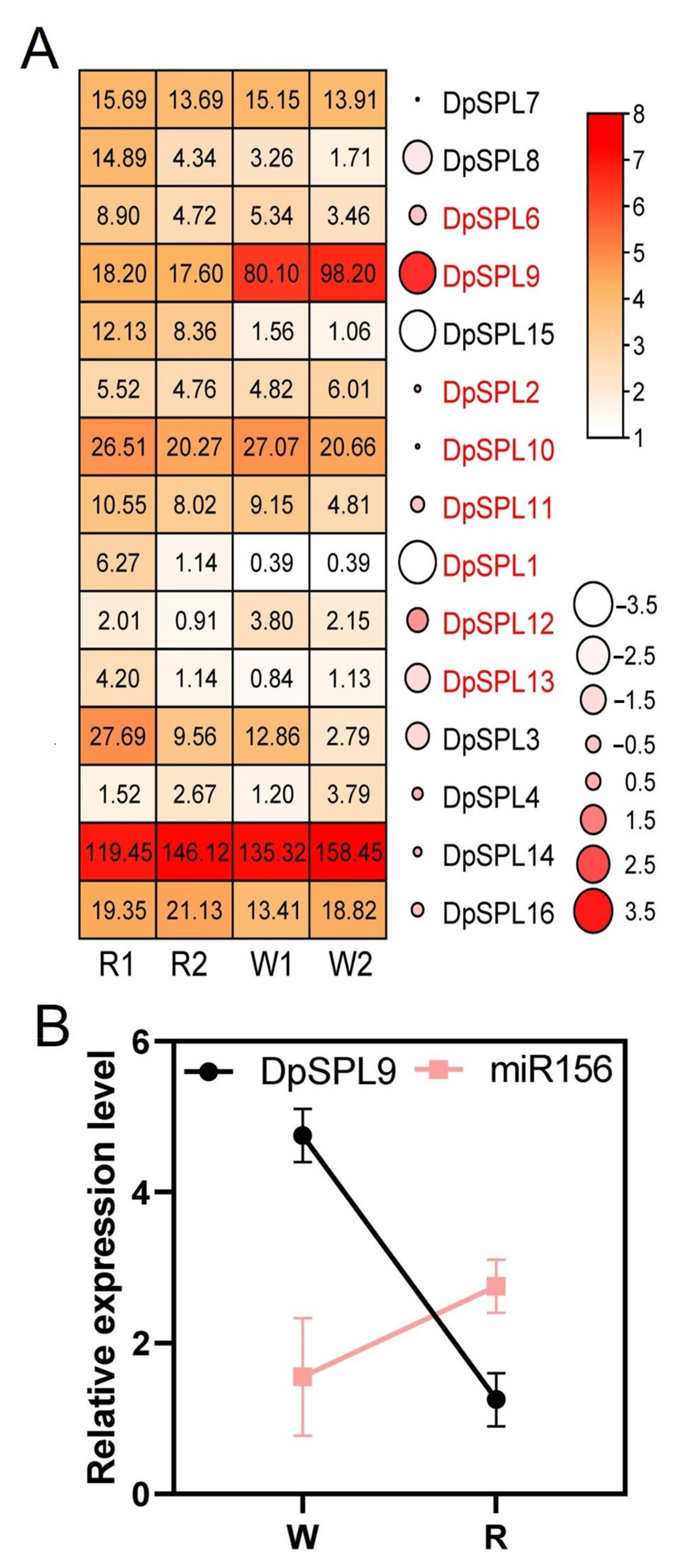 Agronomy 14 02748 g005 Agronomy 14 02748 g005
