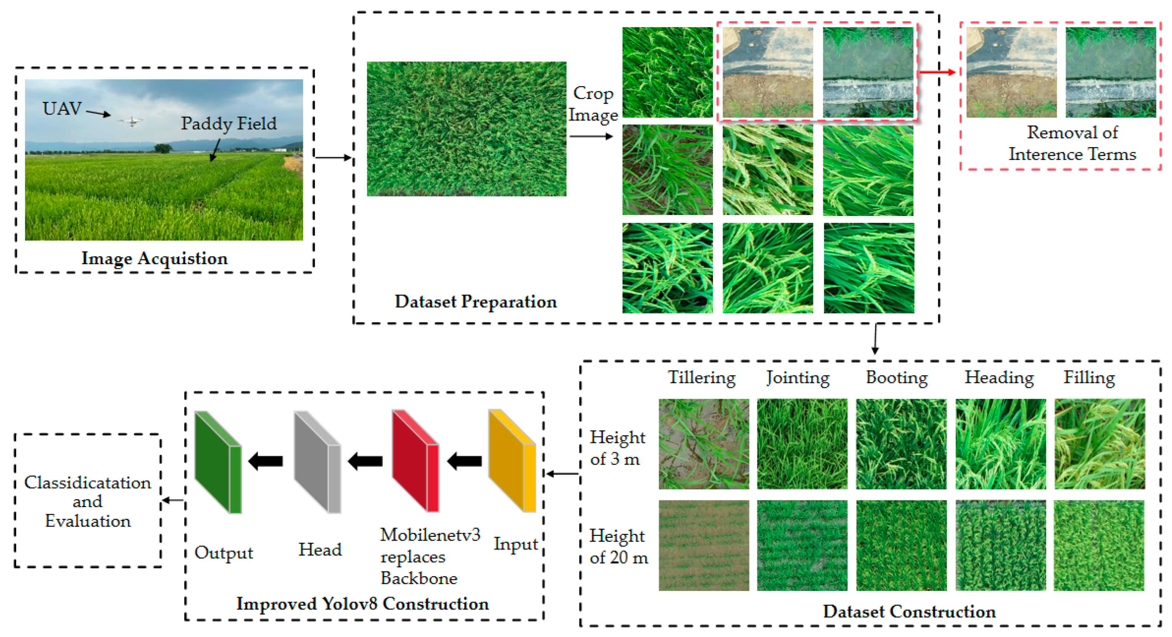 Agronomy 14 02751 g001