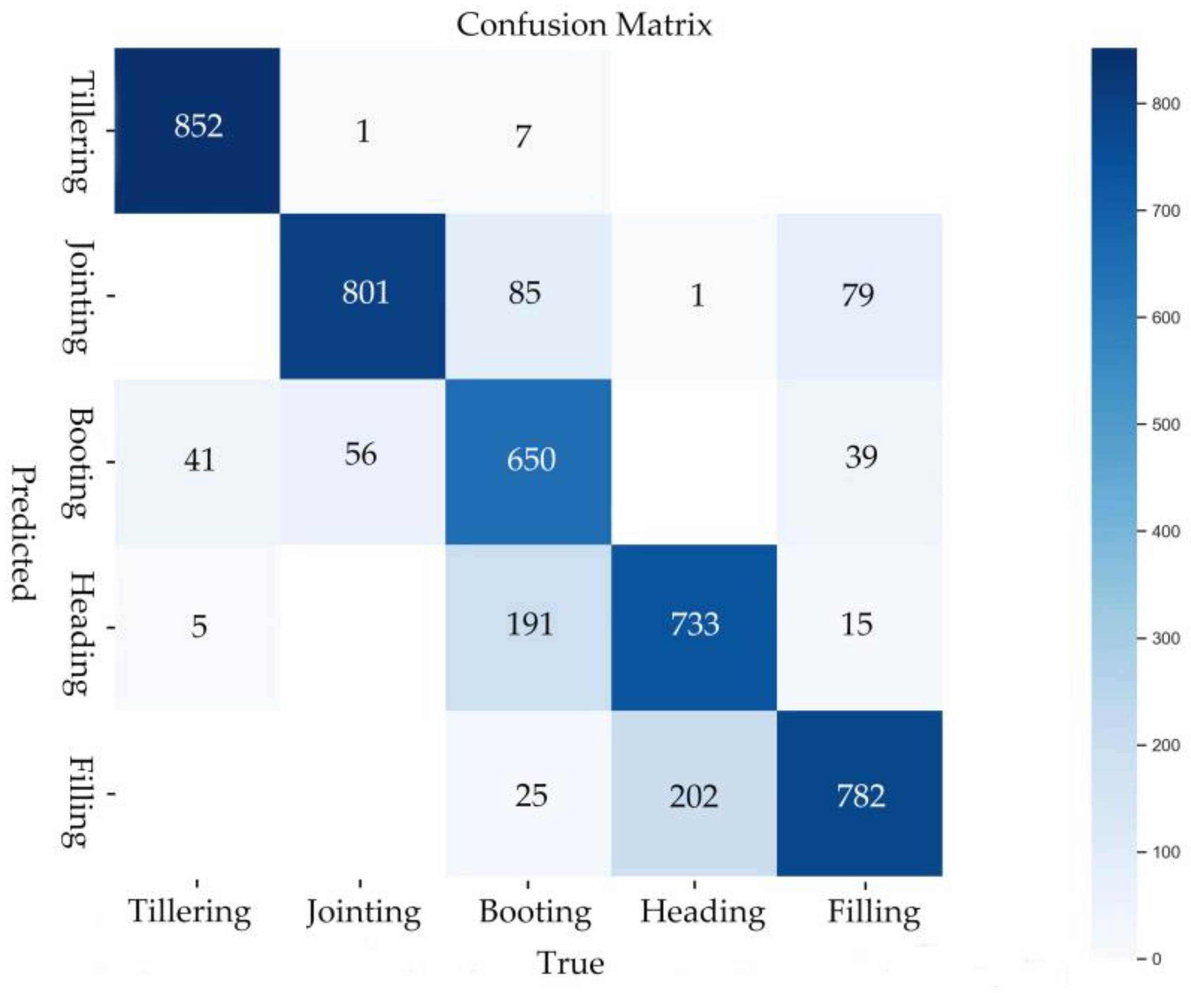 Agronomy 14 02751 g012