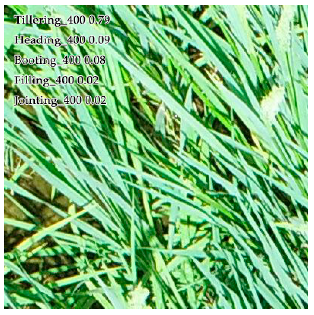 Agronomy 14 02751 g014