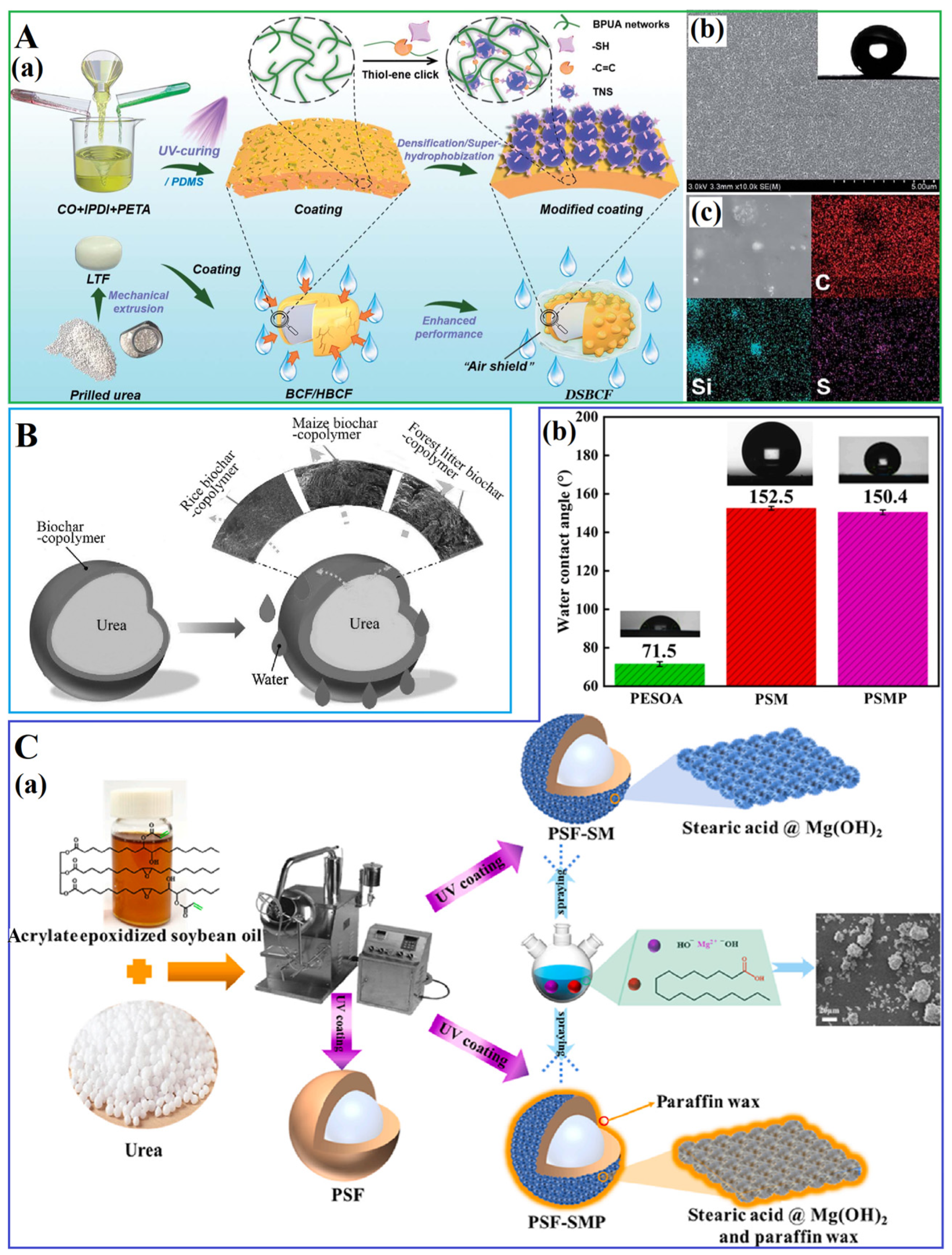 Agronomy 14 02753 g008