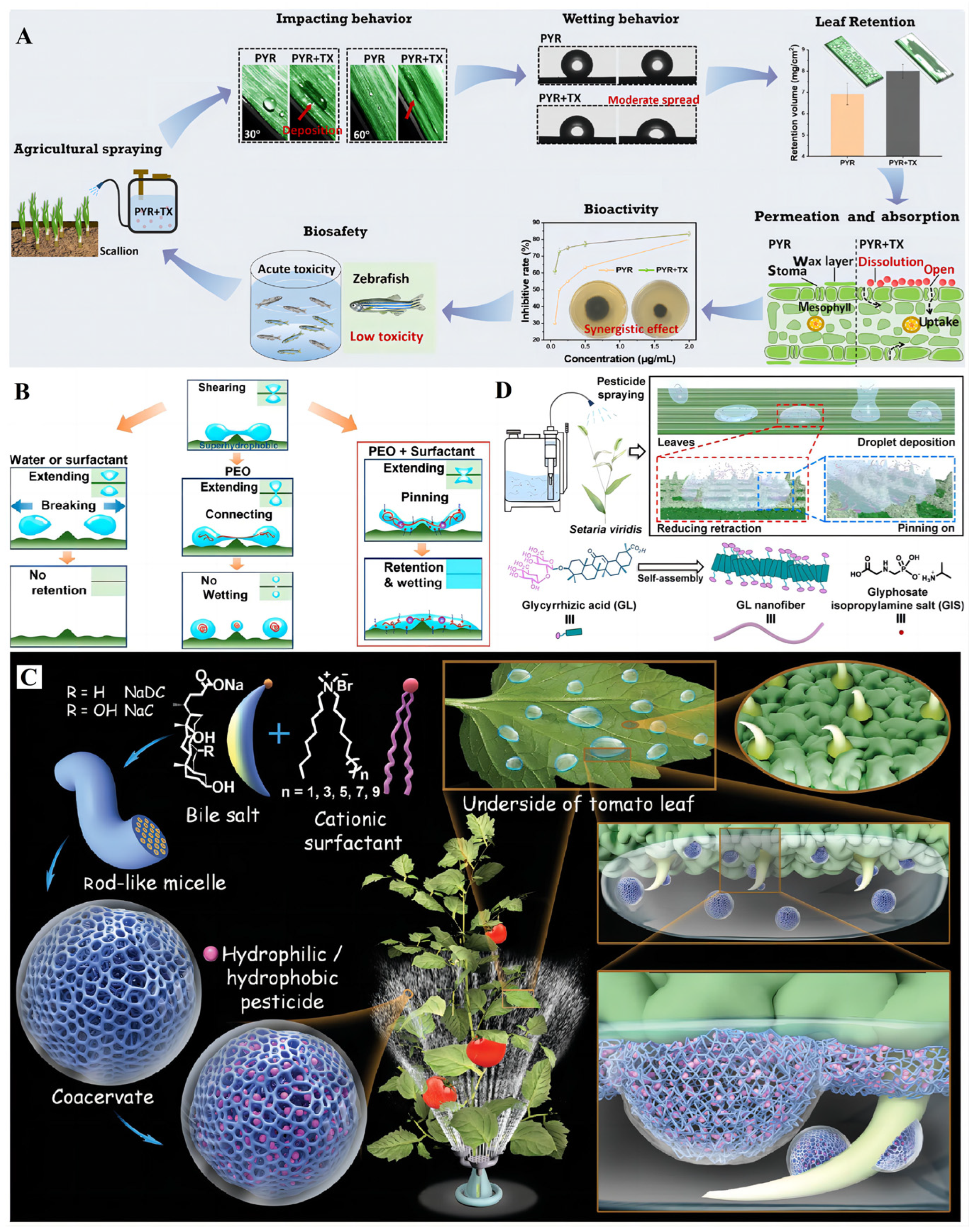 Agronomy 14 02753 g009
