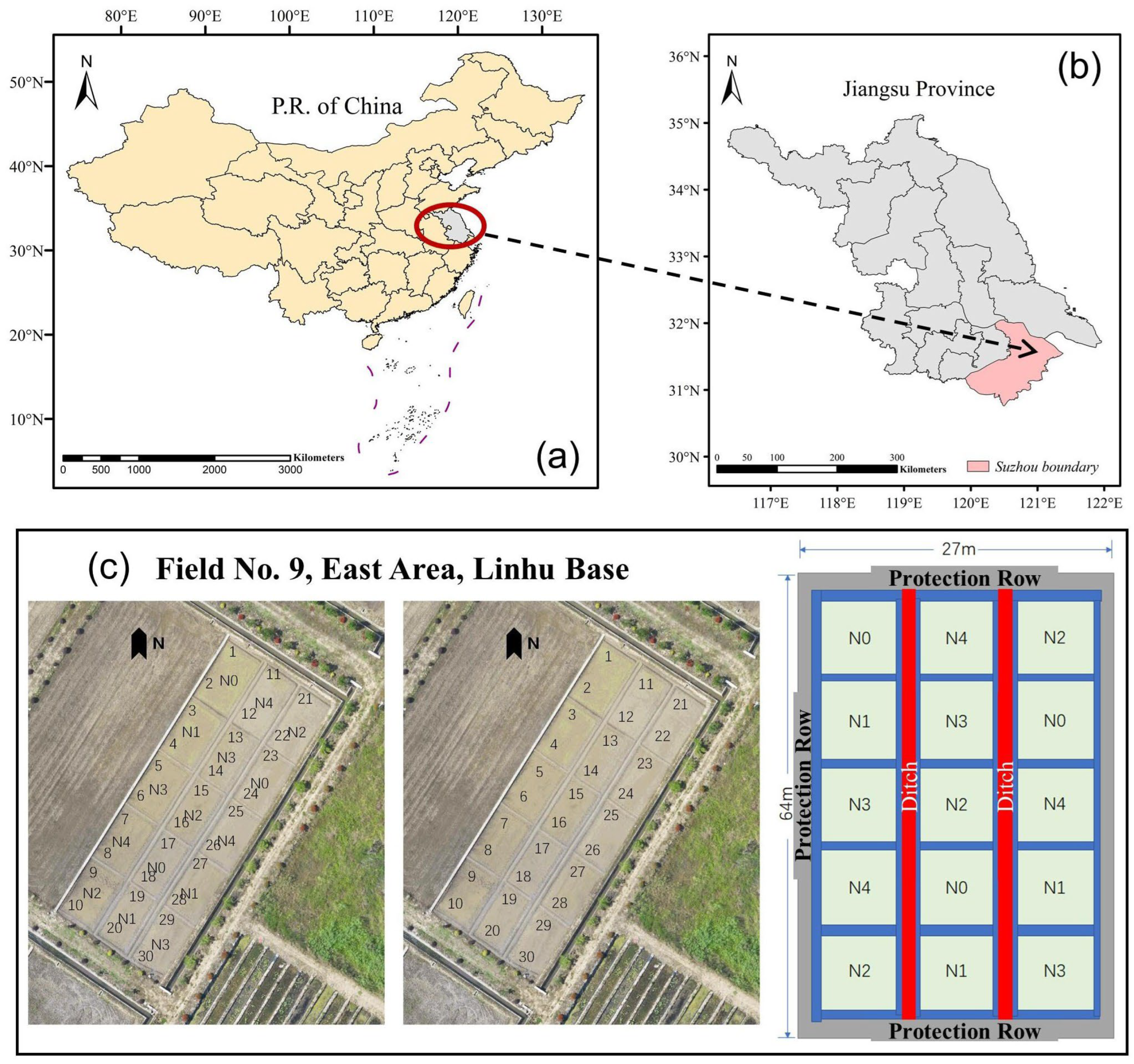 Agronomy 14 02760 g001