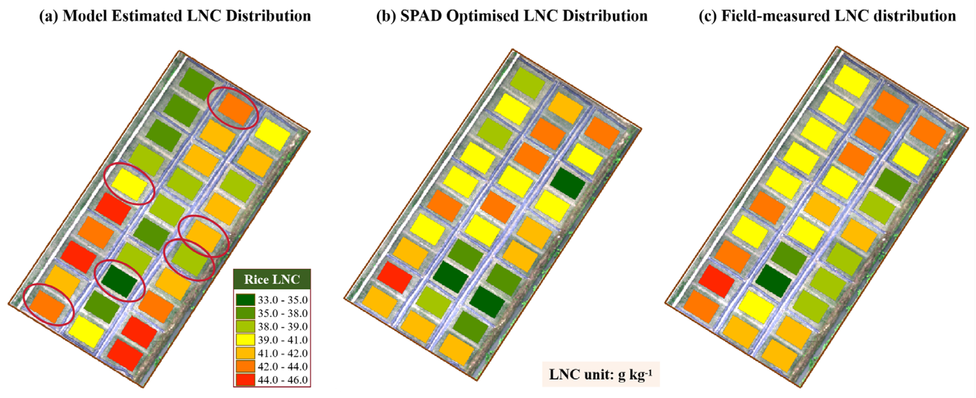 Agronomy 14 02760 g007