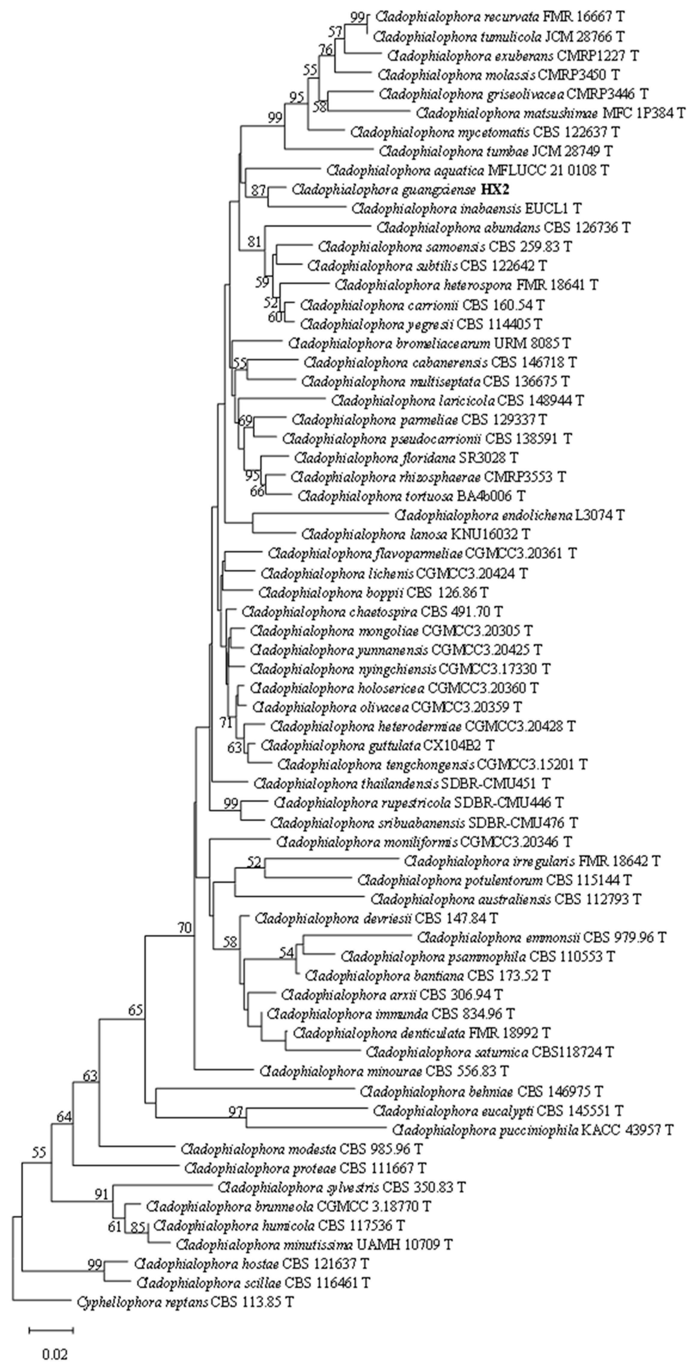 Agronomy 14 02771 g003