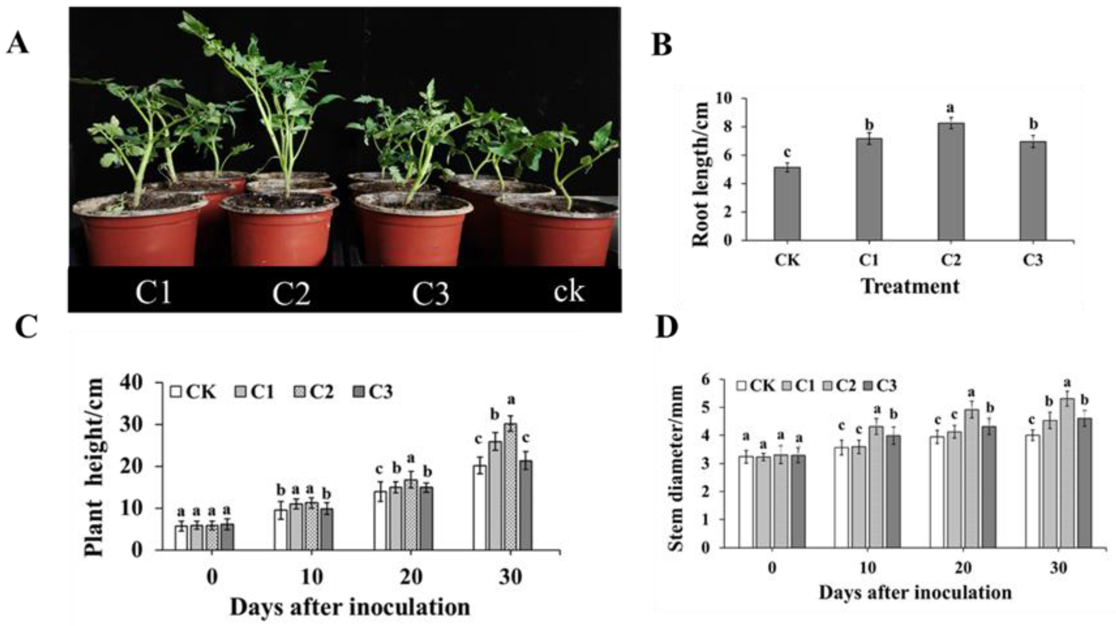 Agronomy 14 02771 g004