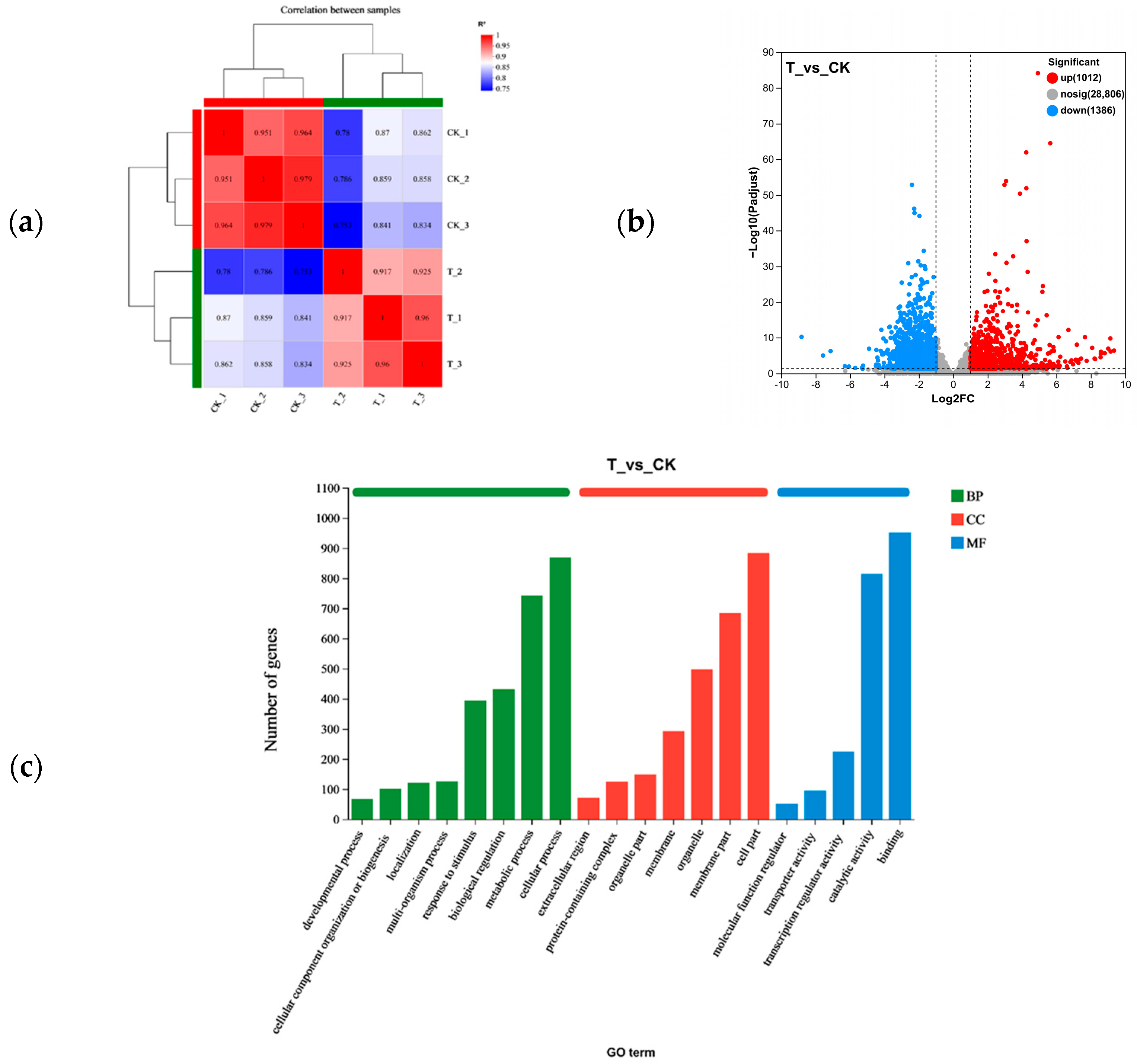 Agronomy 14 02771 g008a