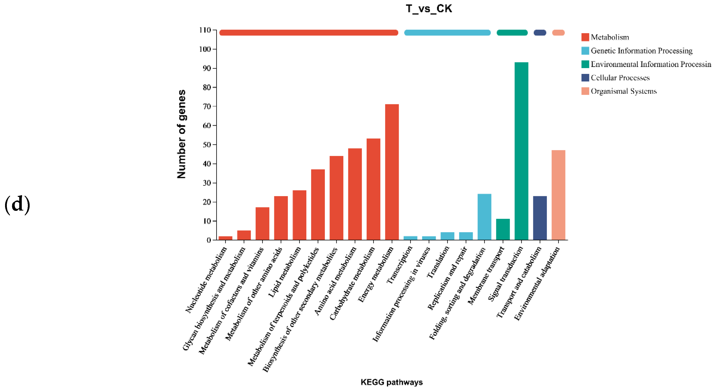 Agronomy 14 02771 g008b