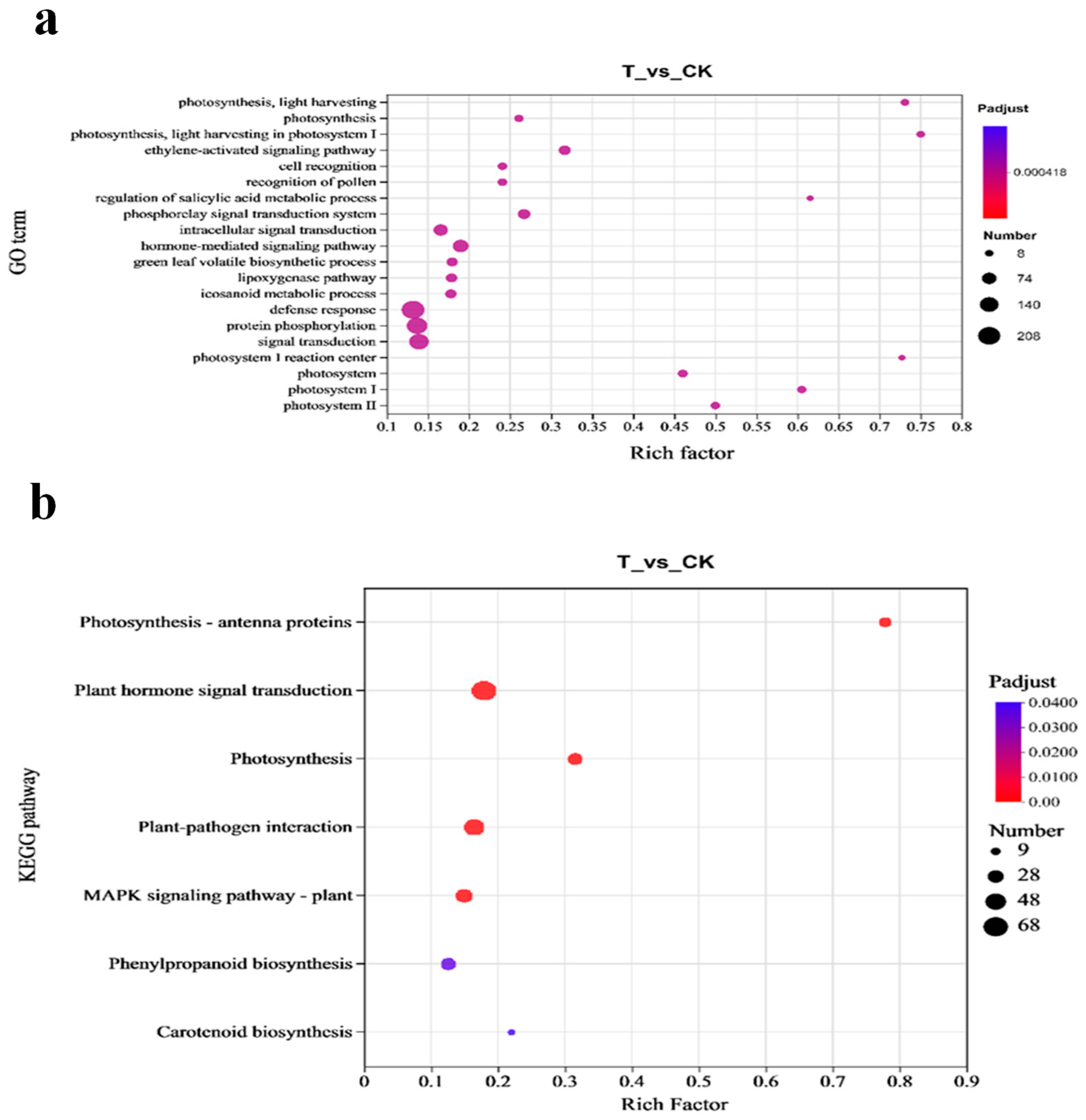 Agronomy 14 02771 g009