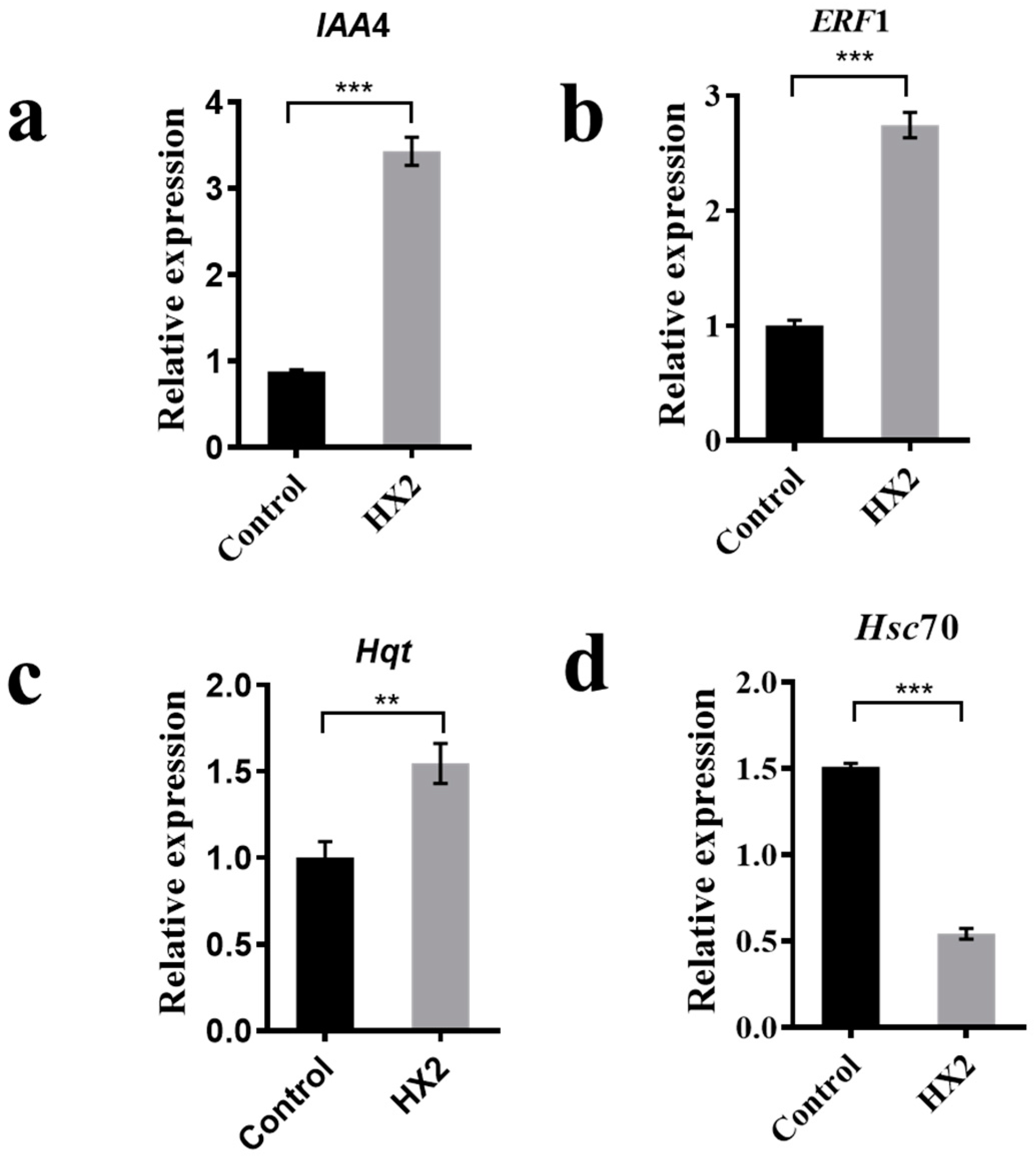 Agronomy 14 02771 g010