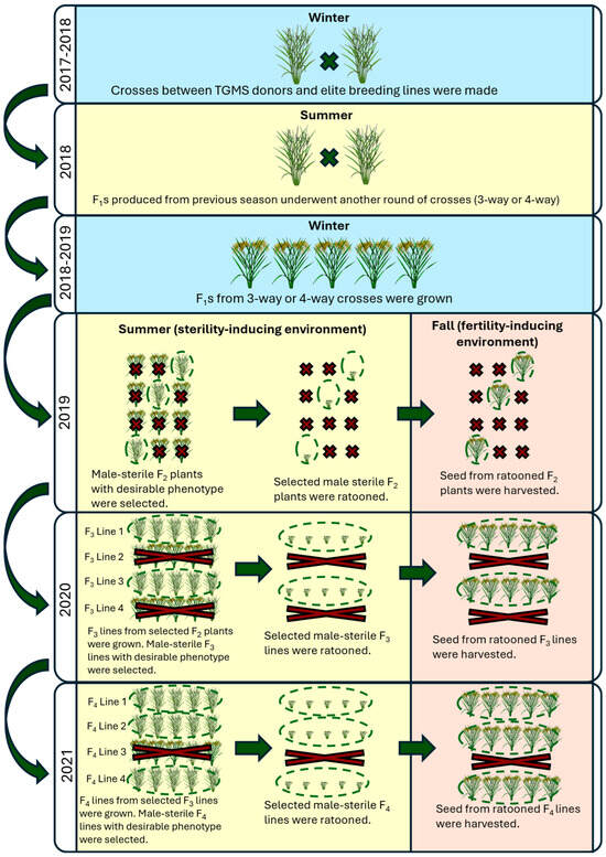 Development and Trait-Based Molecular Characterization of