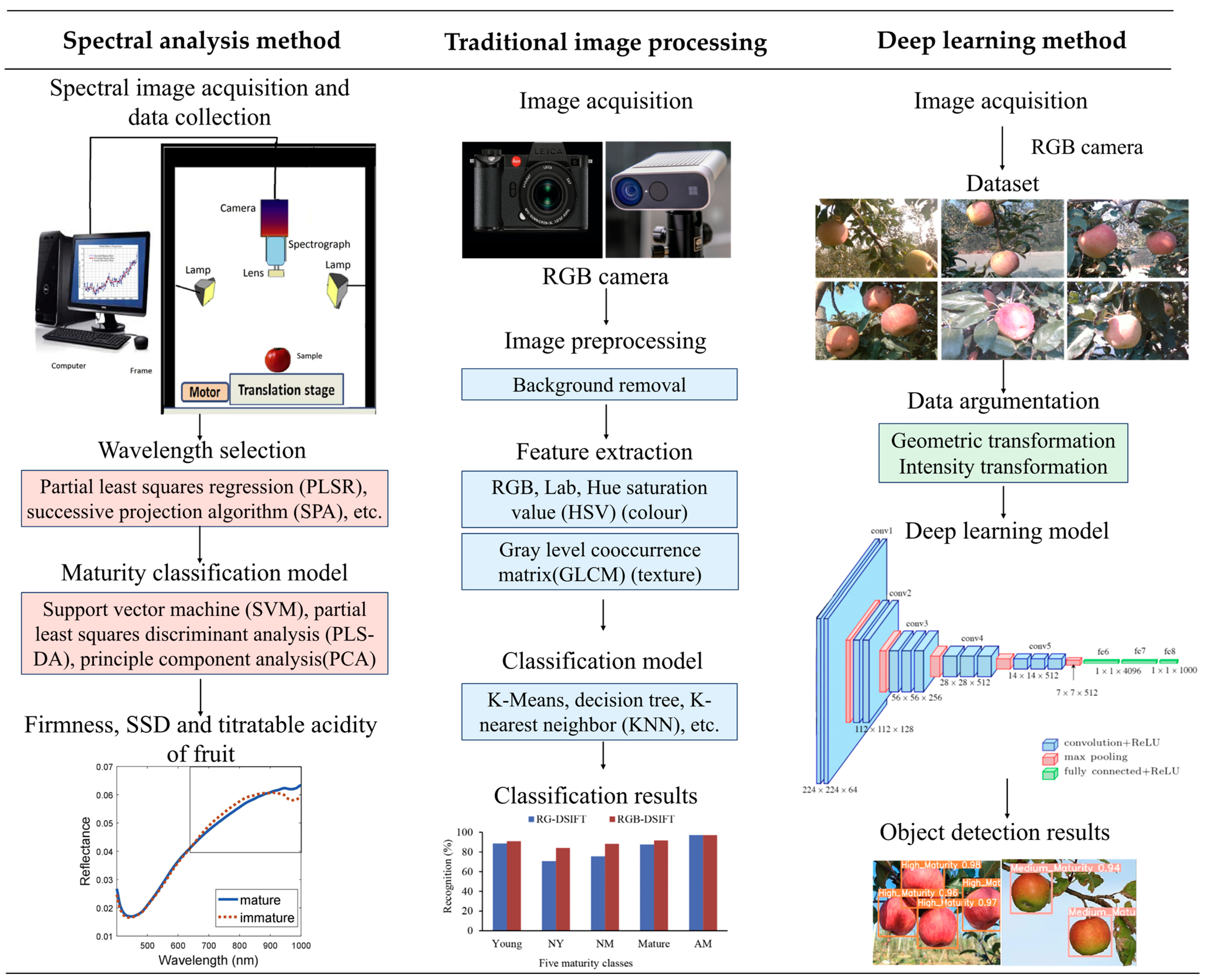 Agronomy 14 02783 g002
