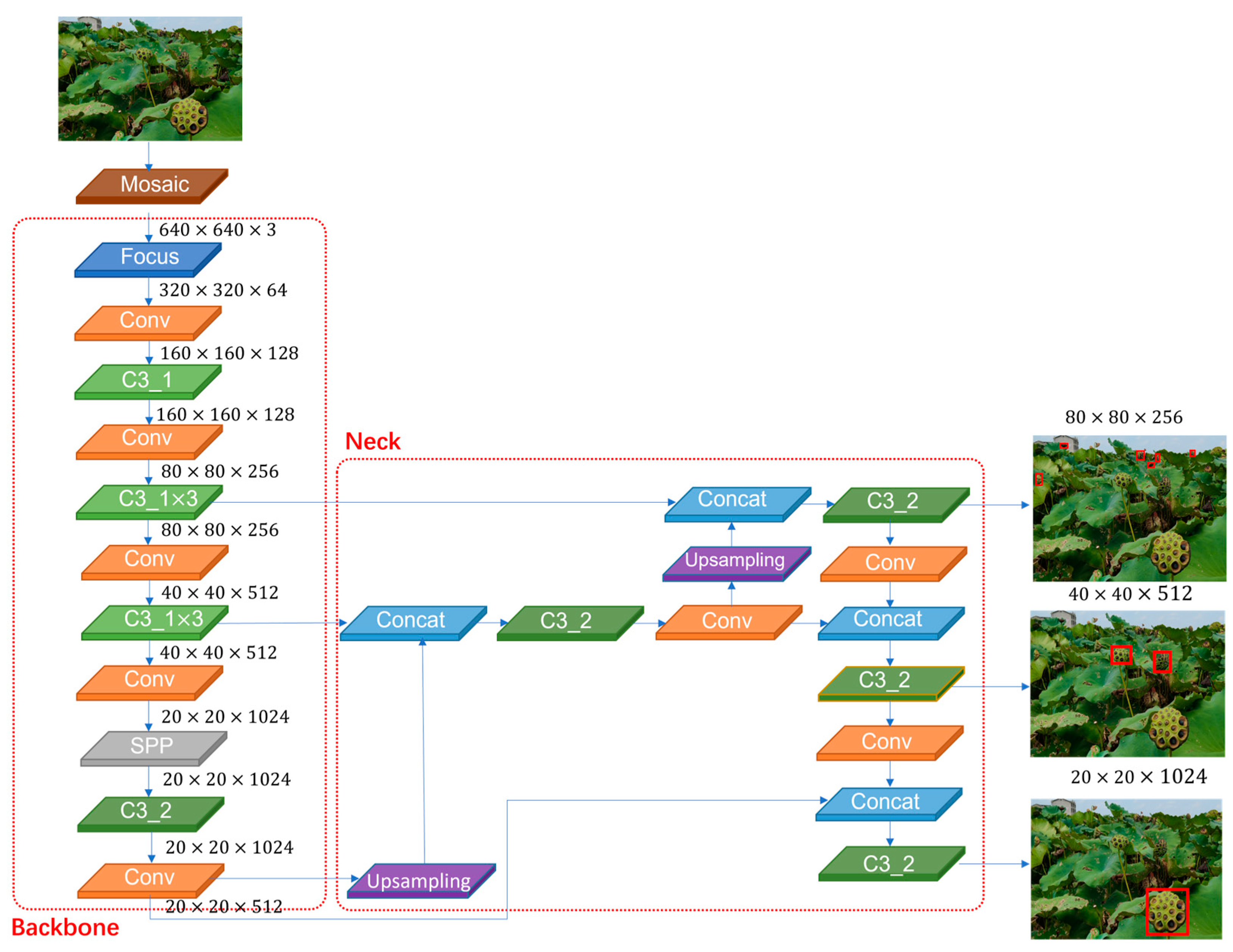 Agronomy 14 02783 g005