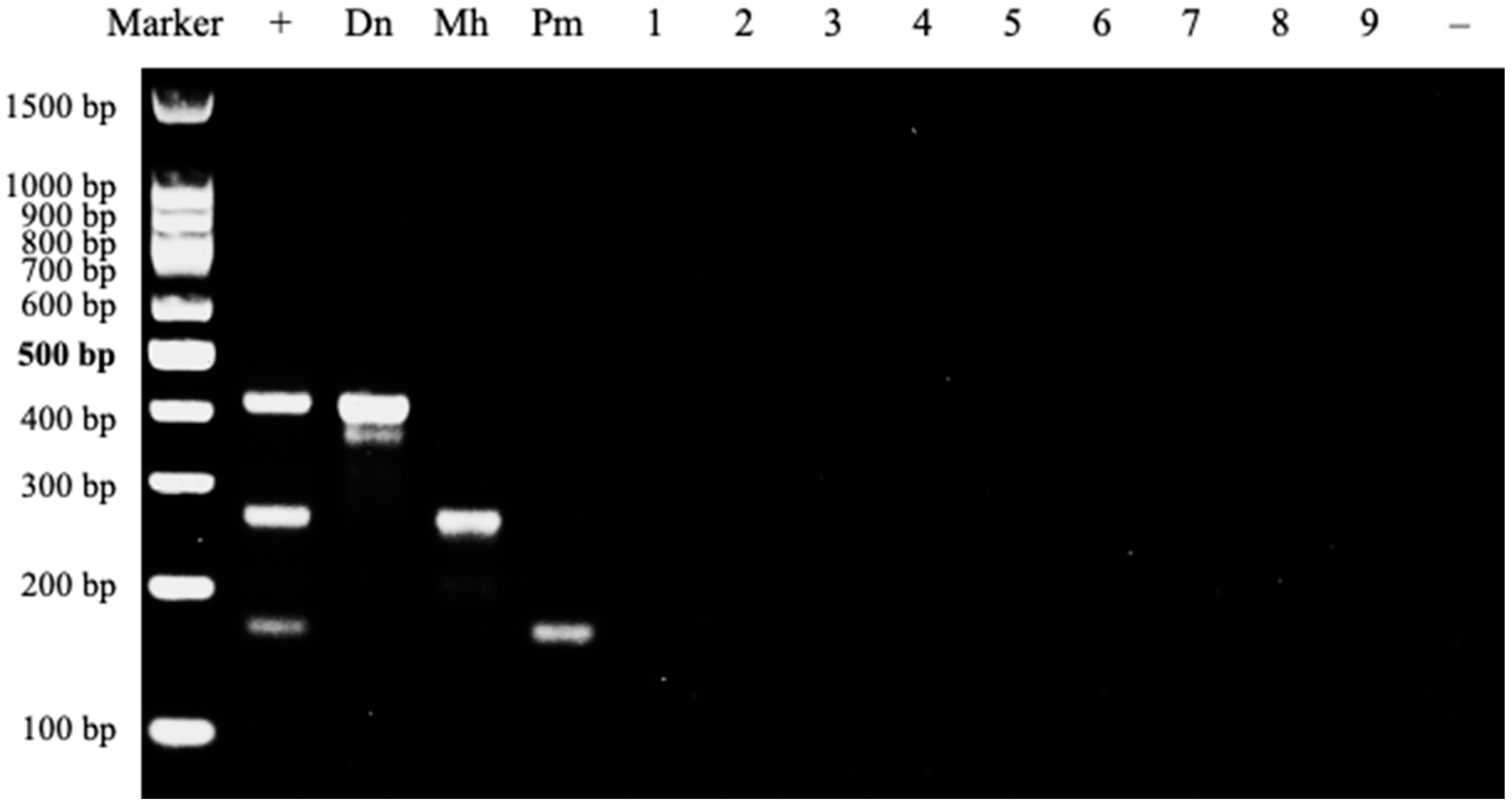 Agronomy 14 02786 g001 Agronomy 14 02786 g001