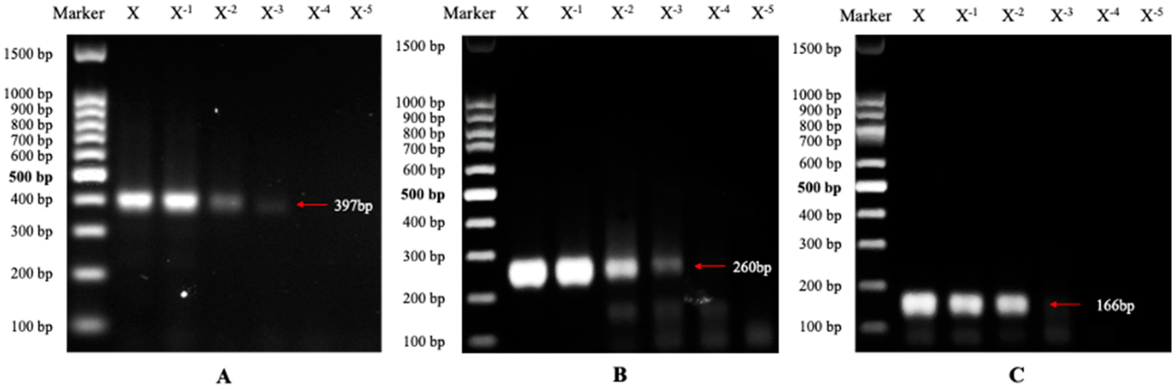 Agronomy 14 02786 g002 Agronomy 14 02786 g002