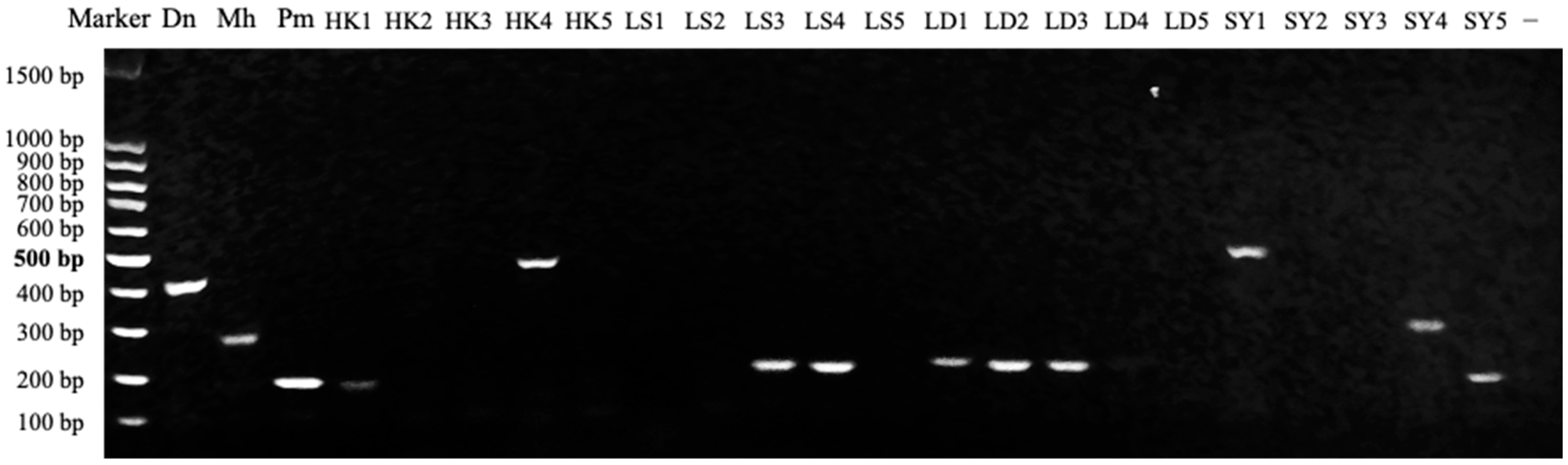 Agronomy 14 02786 g003 Agronomy 14 02786 g003