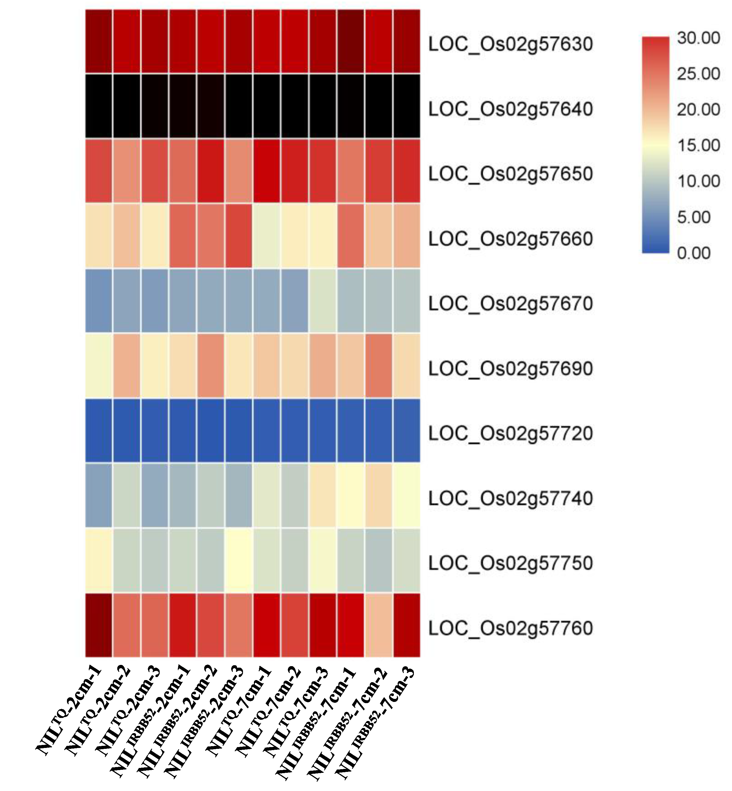 Agronomy 14 02789 g004 Agronomy 14 02789 g004
