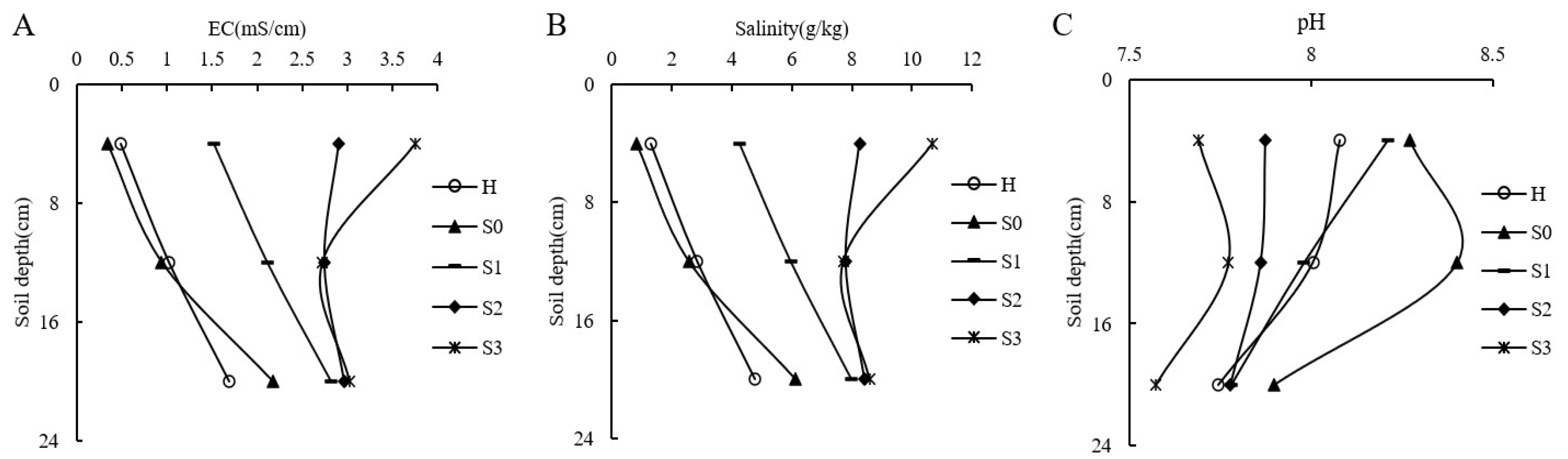 Agronomy 14 02790 g001
