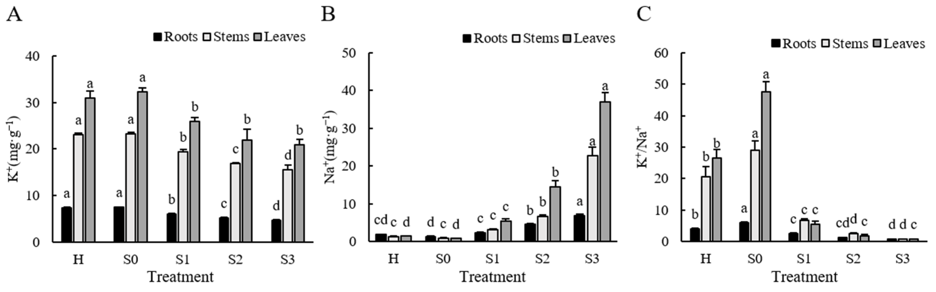 Agronomy 14 02790 g004