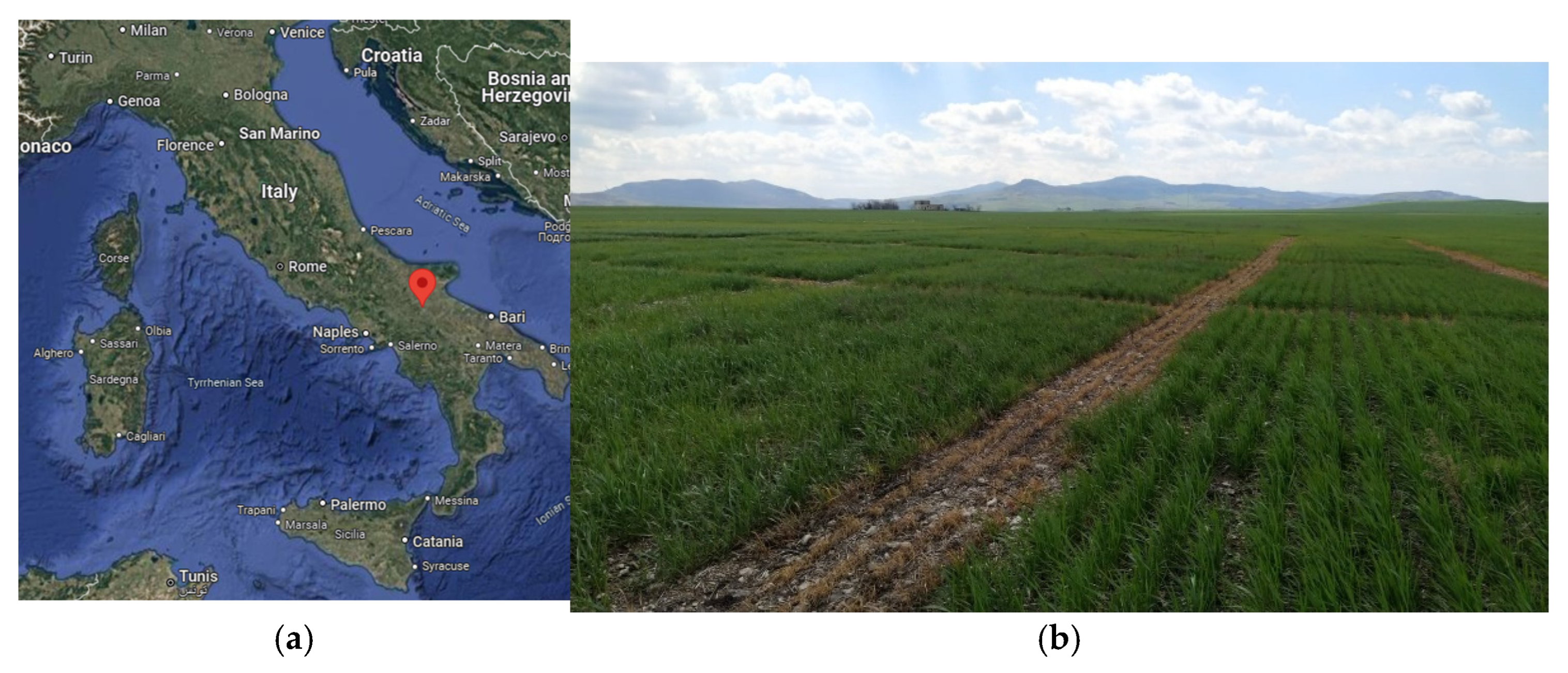 Agronomy 14 02794 g0a1