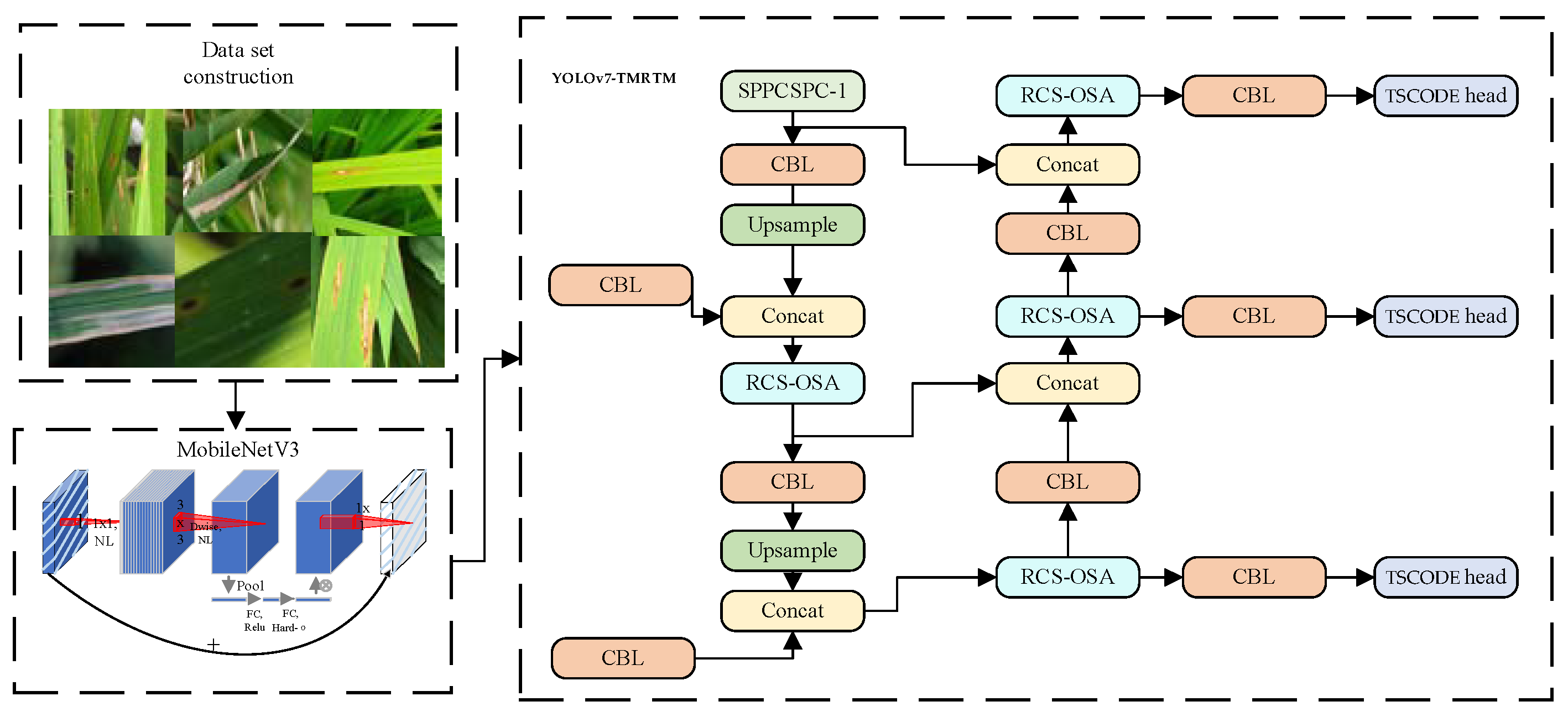 Agronomy 14 02796 g006
