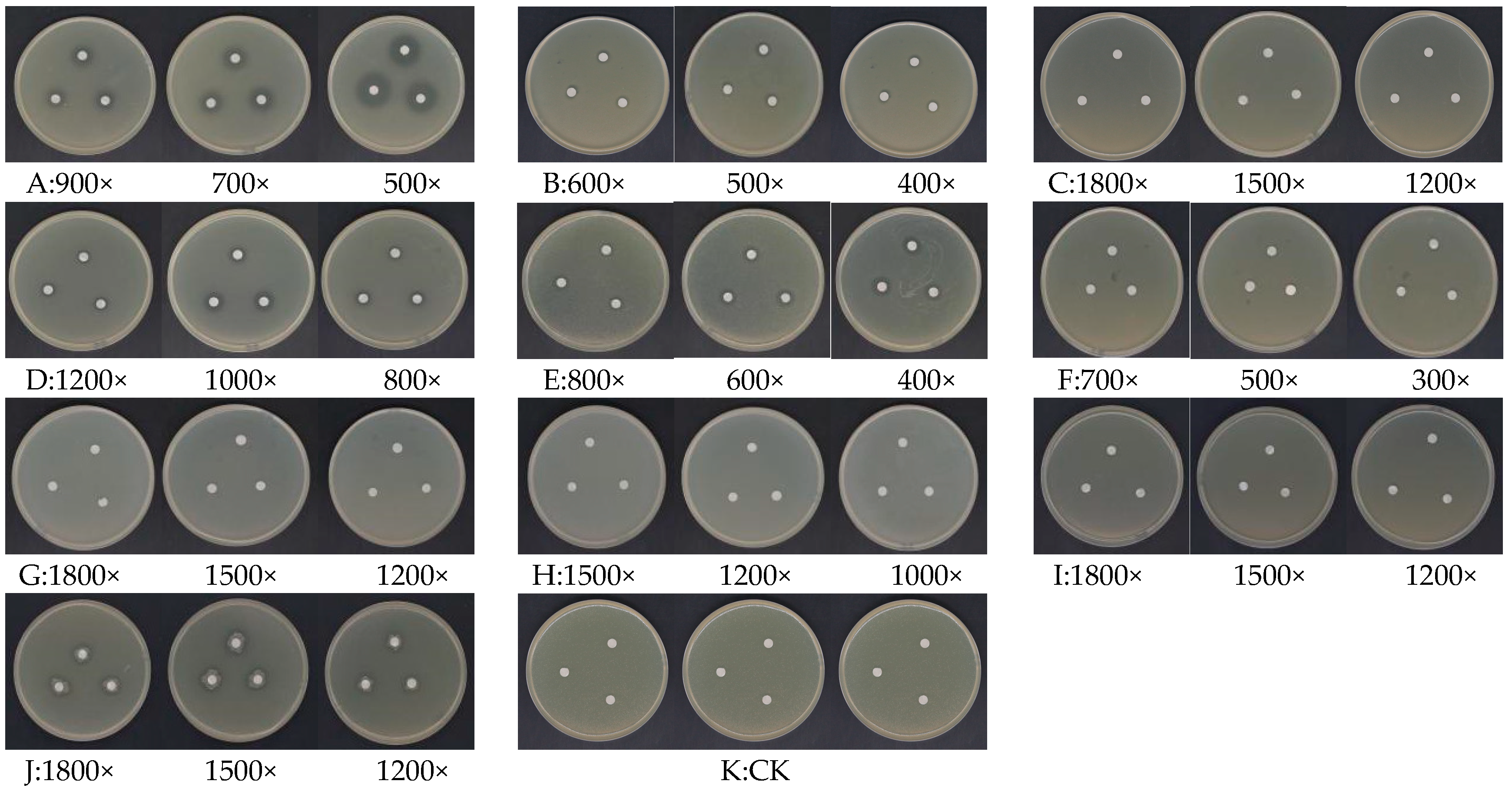 Agronomy 14 02797 g001