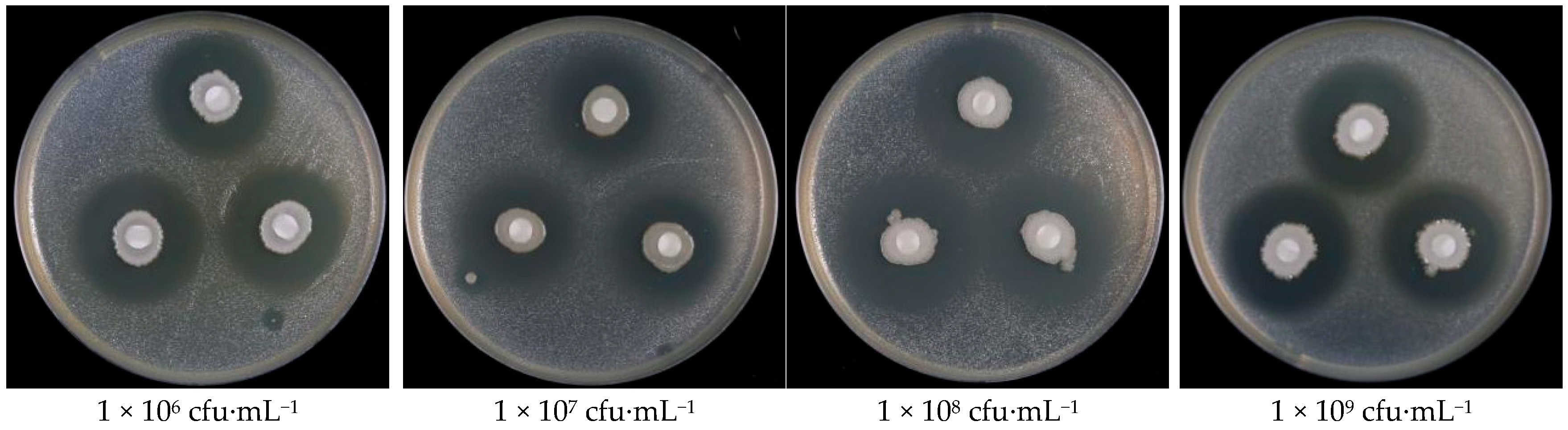 Agronomy 14 02797 g002