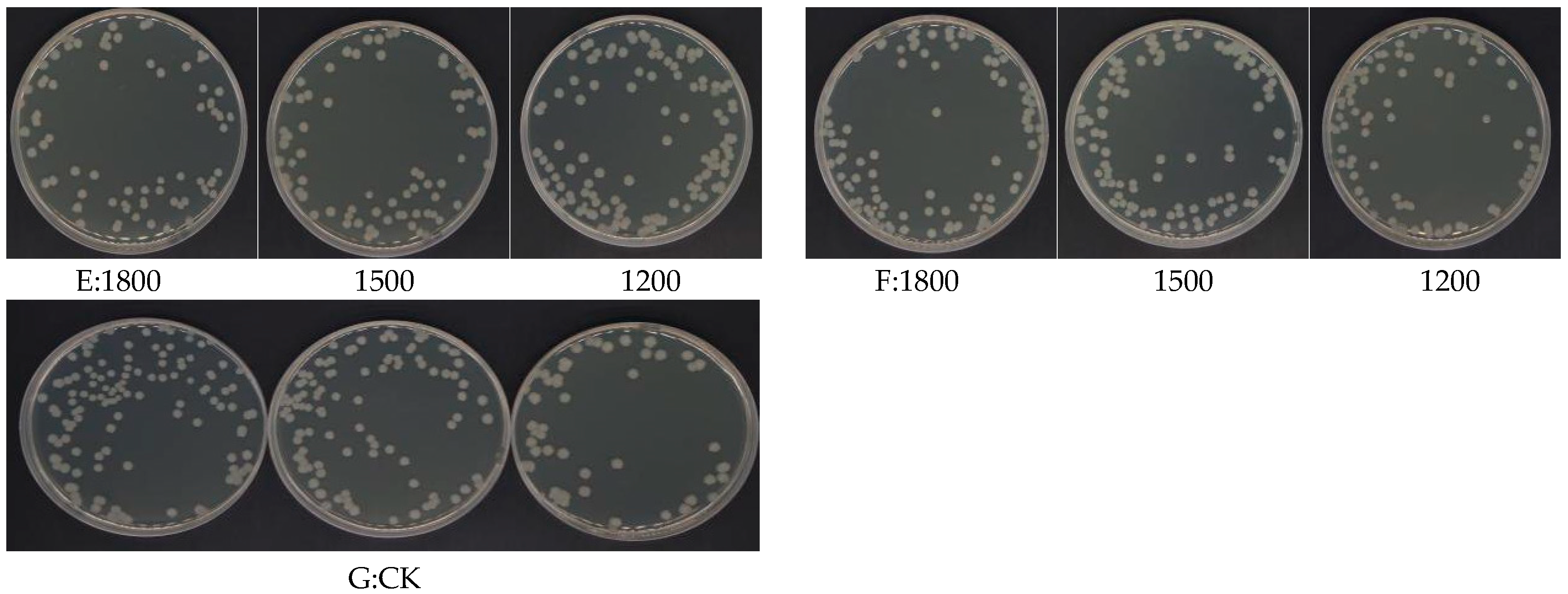 Agronomy 14 02797 g003b