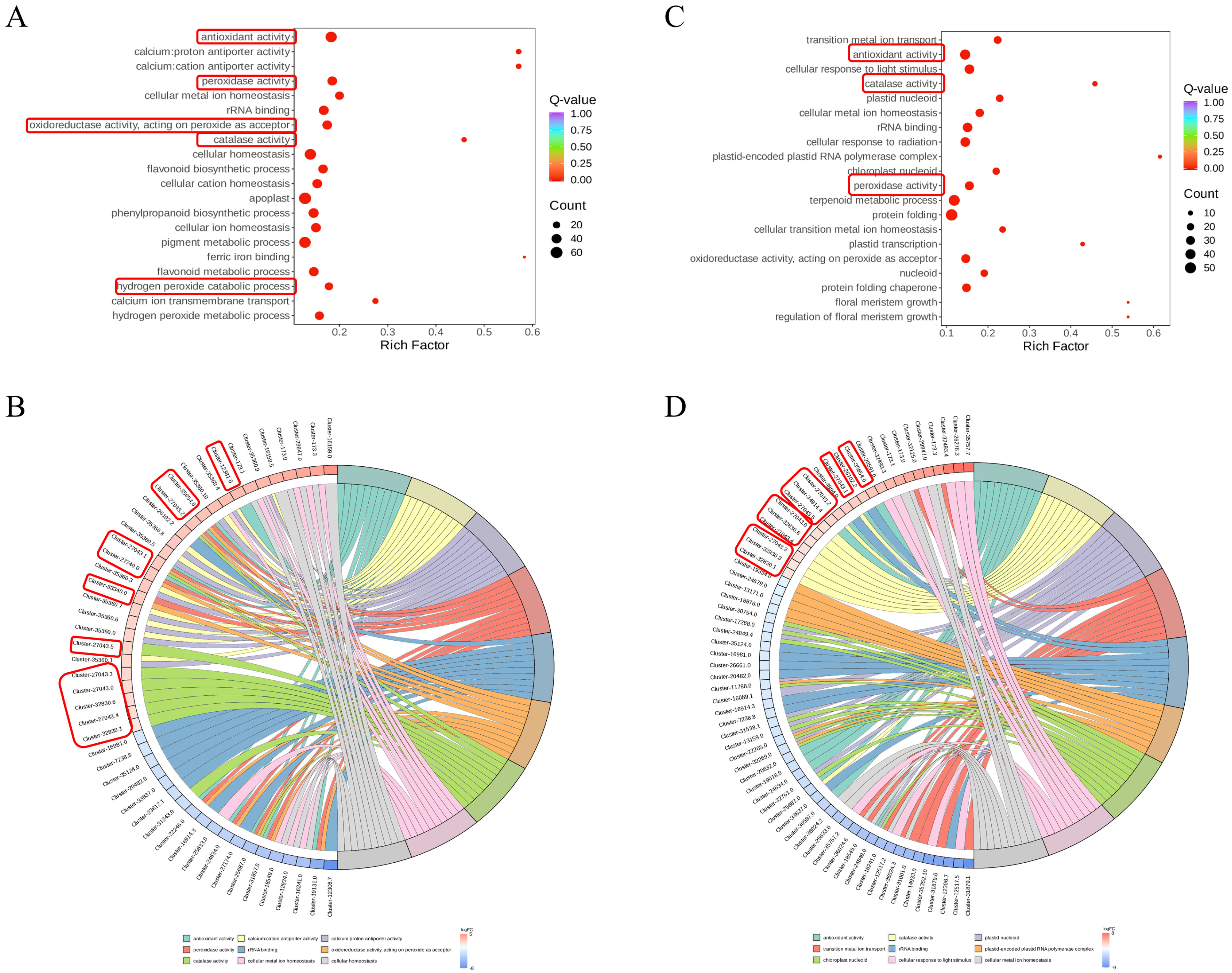 Agronomy 14 02800 g003