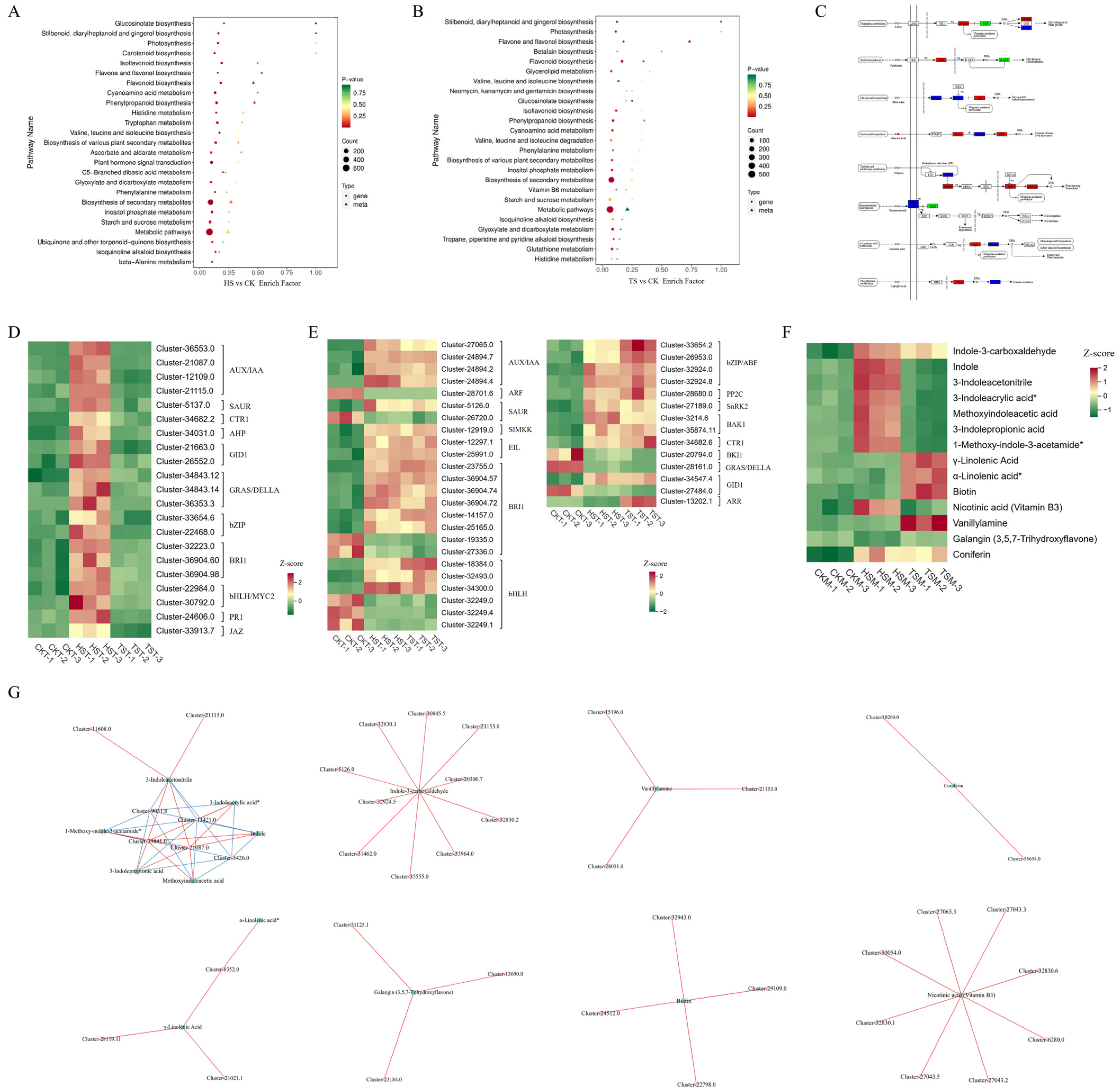Agronomy 14 02800 g008