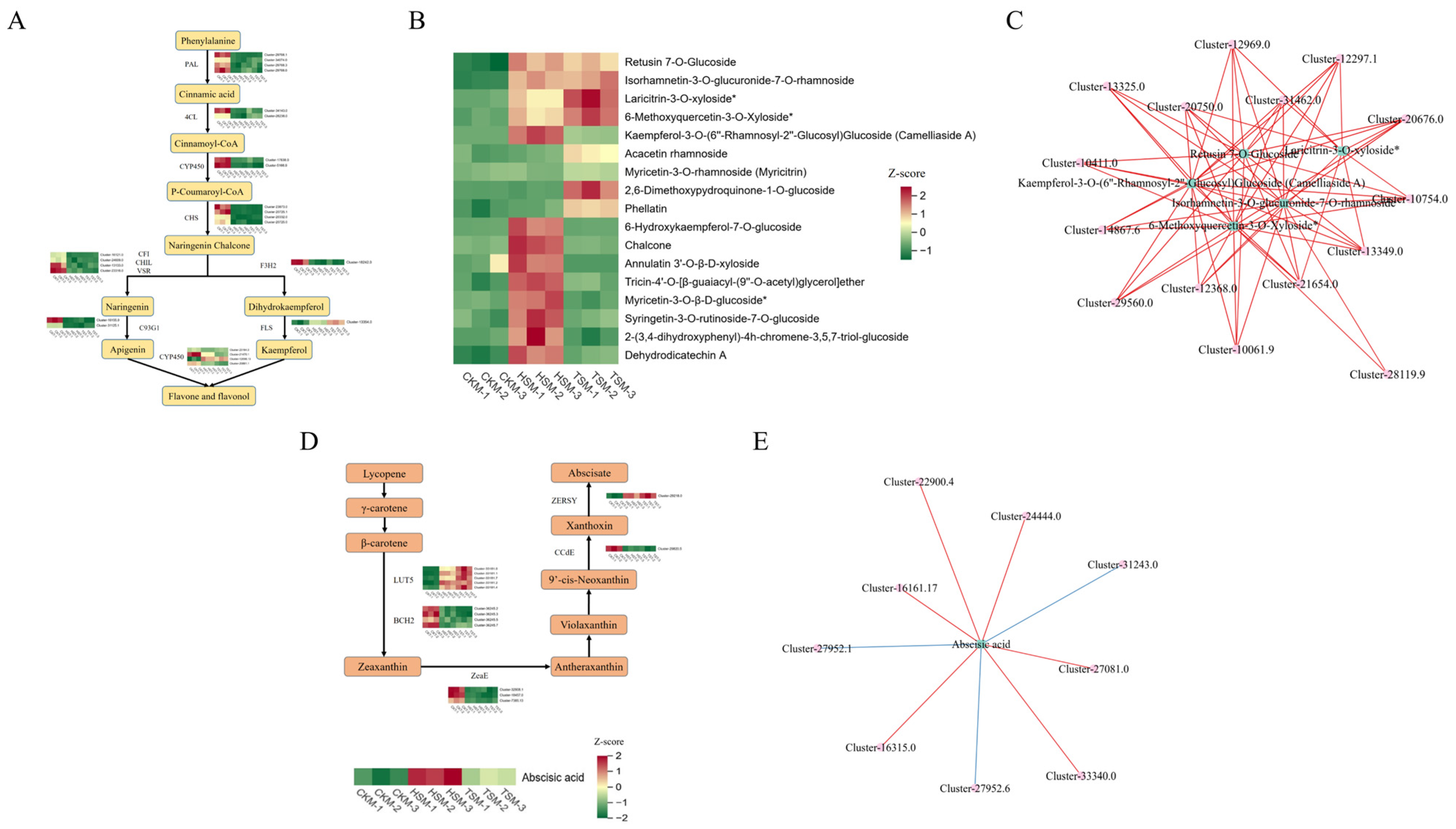 Agronomy 14 02800 g009