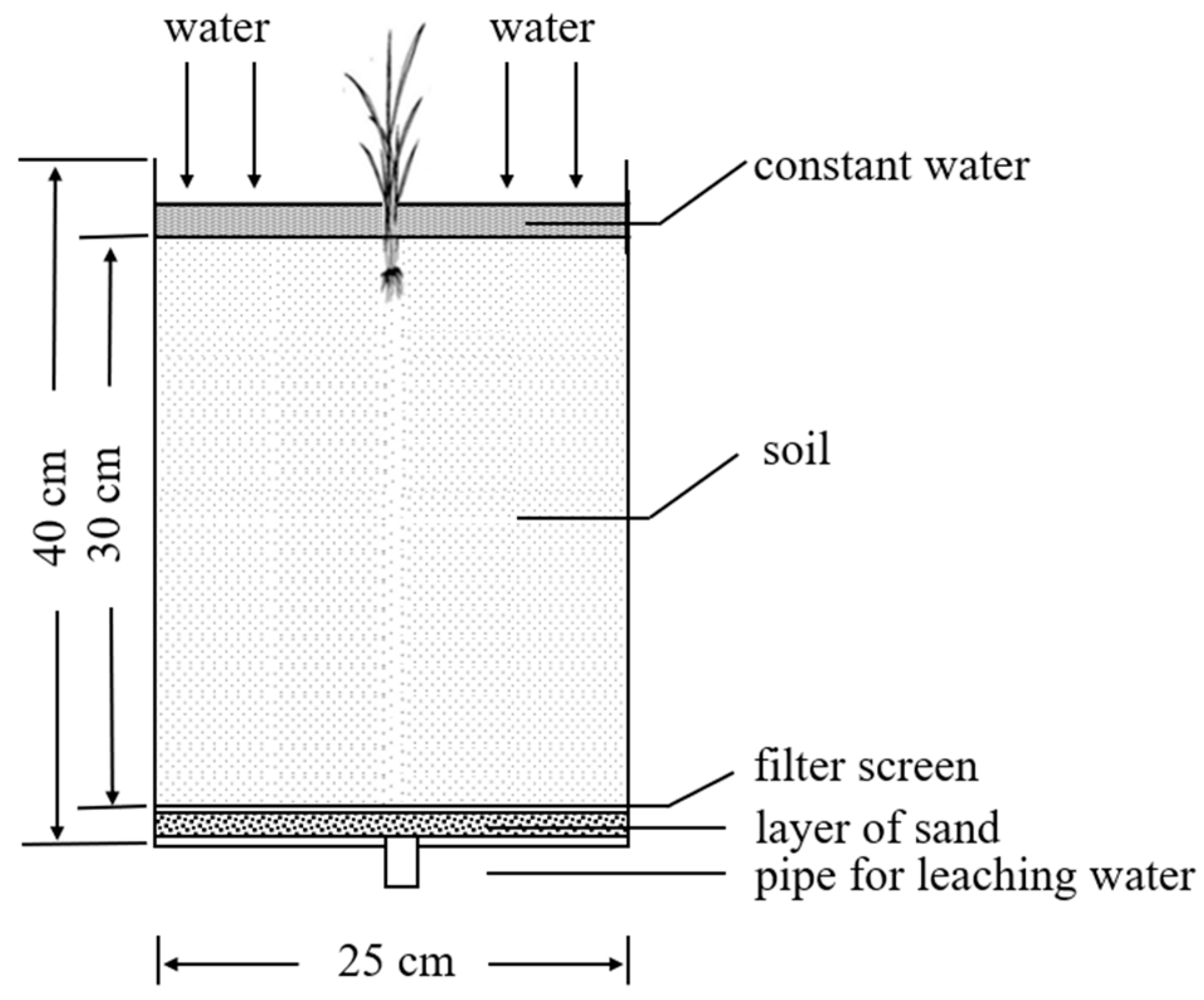 Agronomy 14 02807 g002