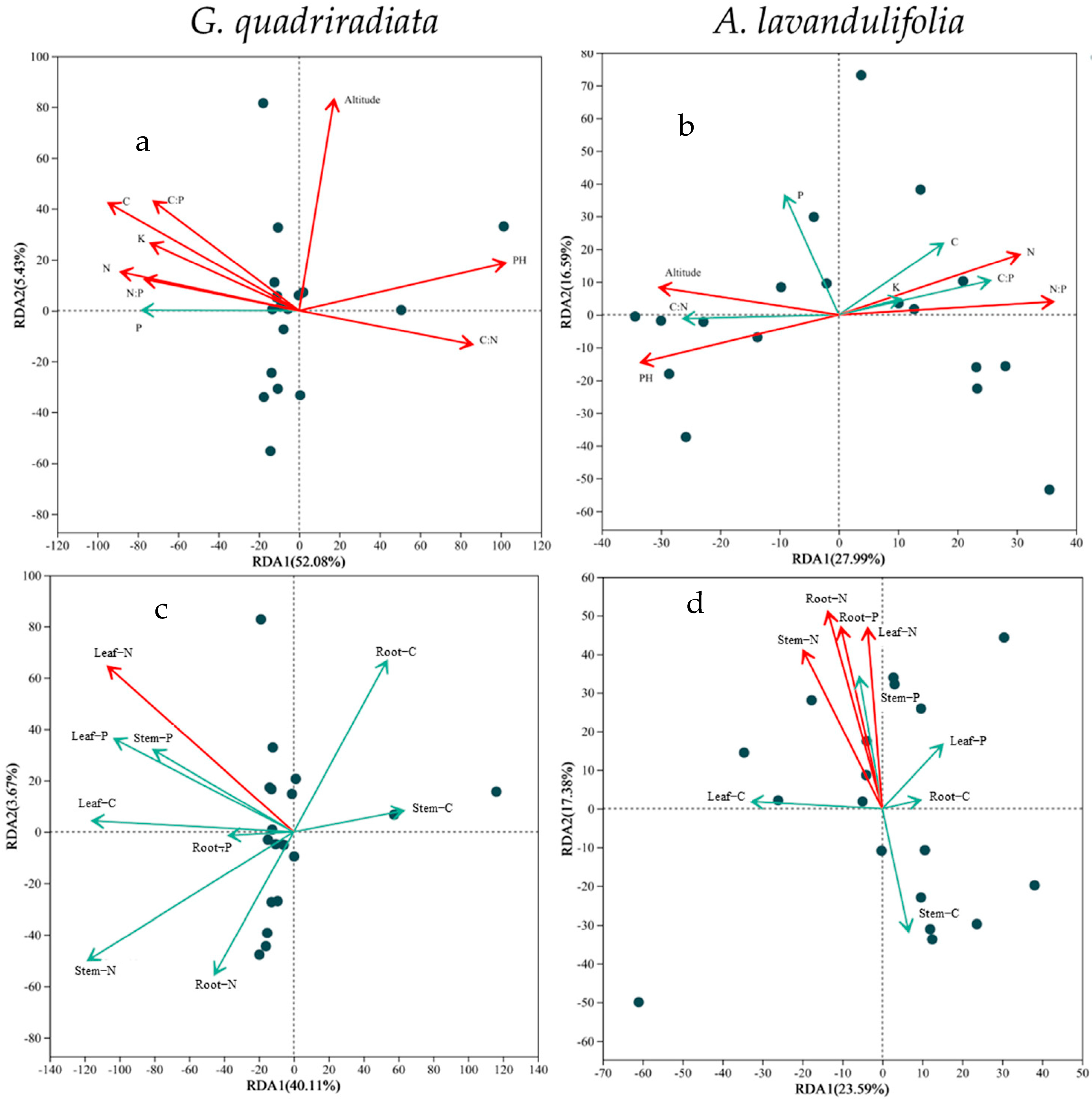 Agronomy 14 02810 g006
