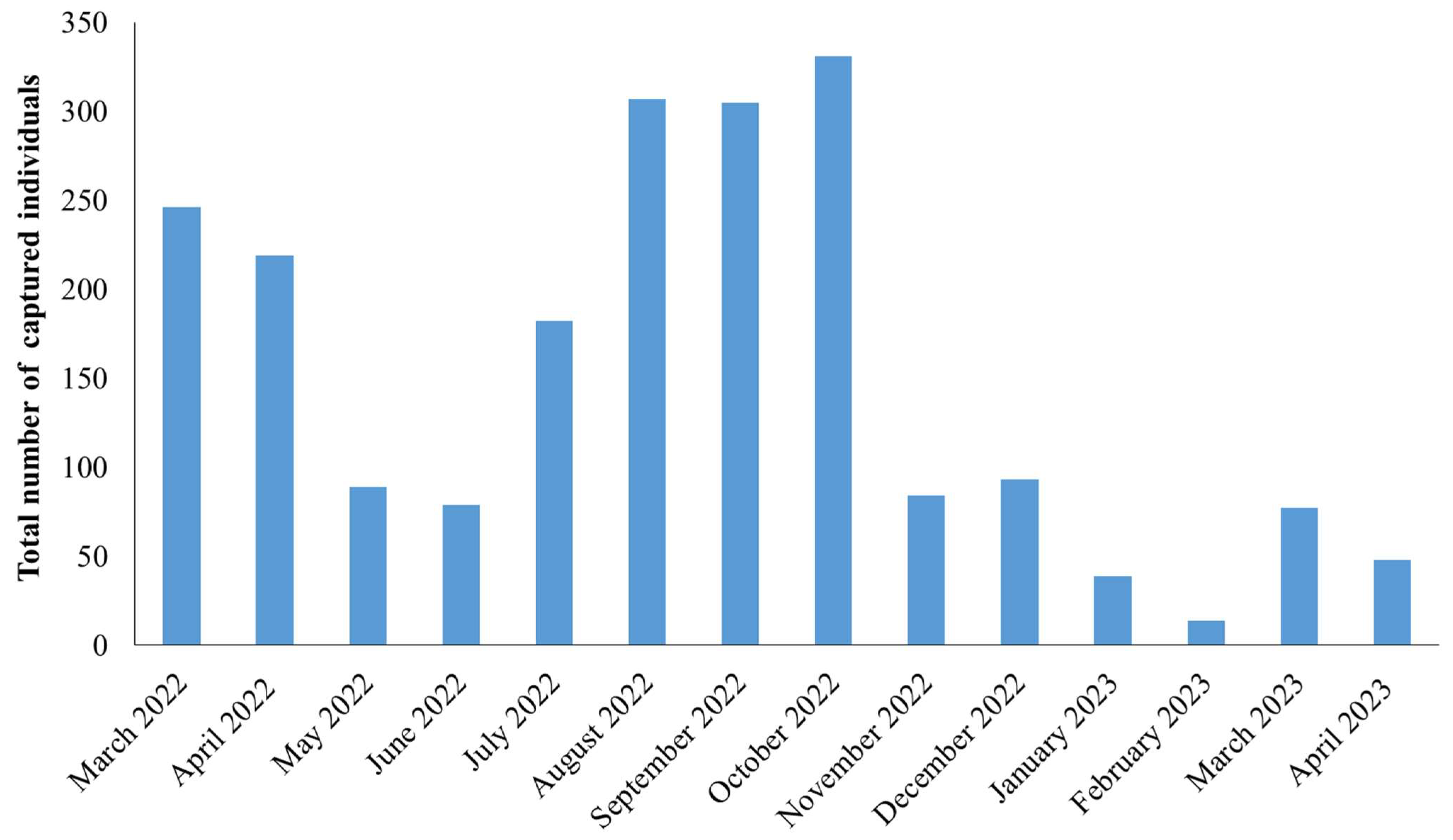 Agronomy 14 02812 g002