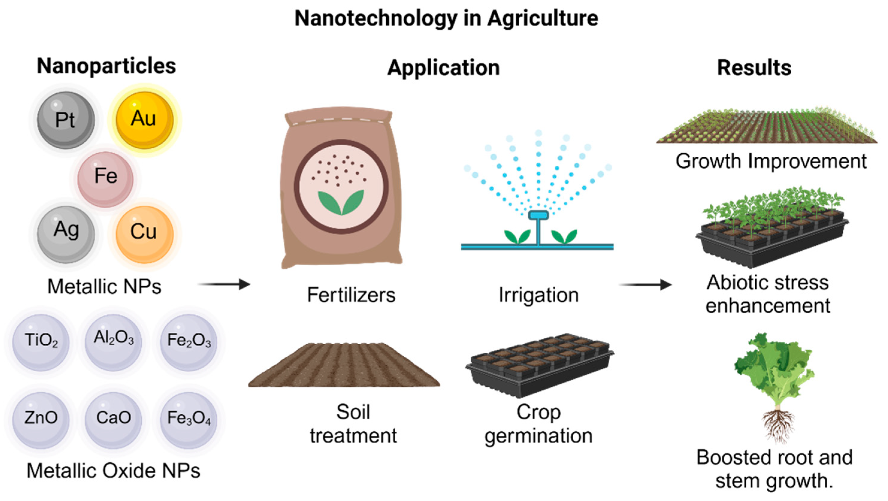 Agronomy 14 02822 g003
