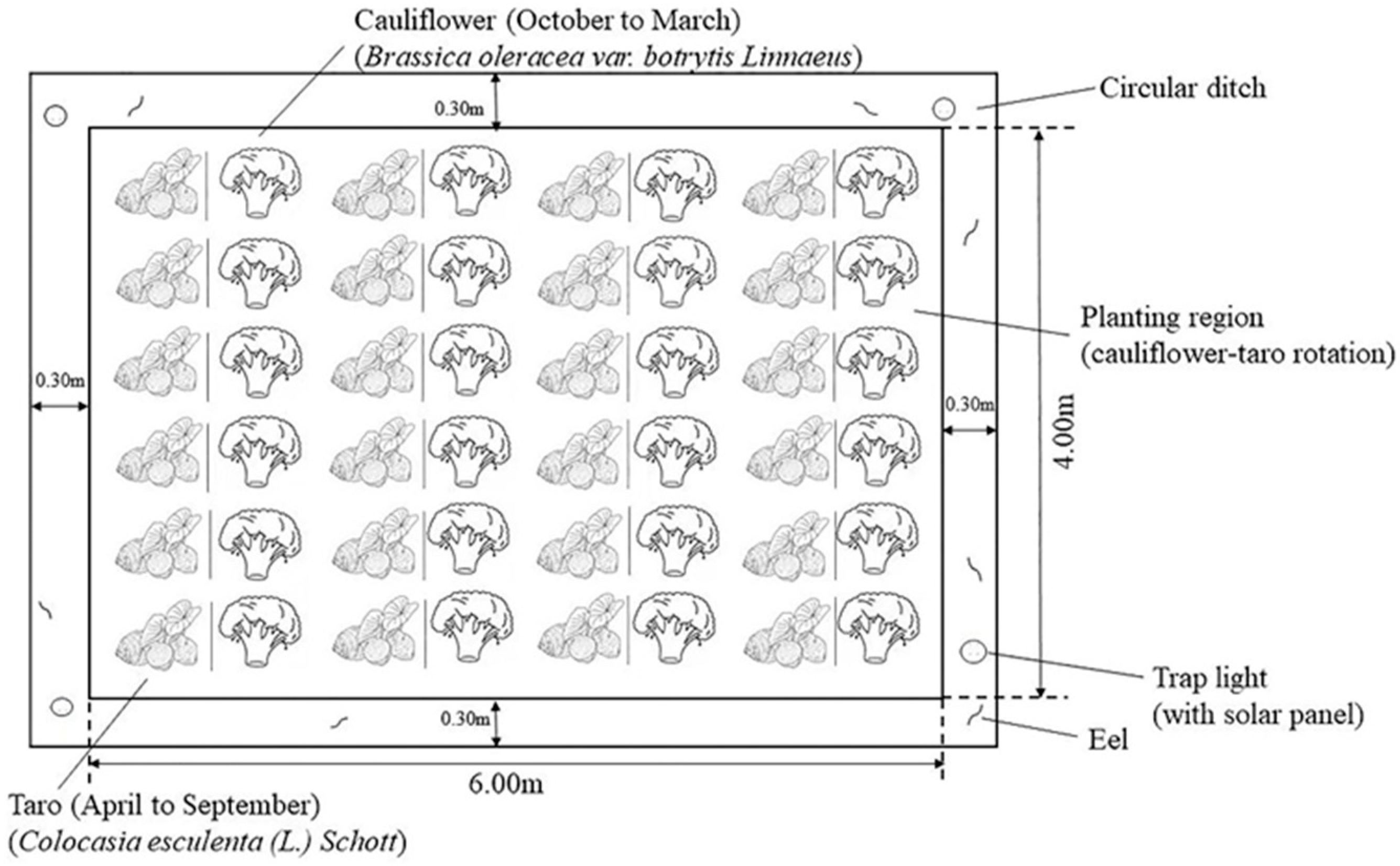 Agronomy 14 02823 g001