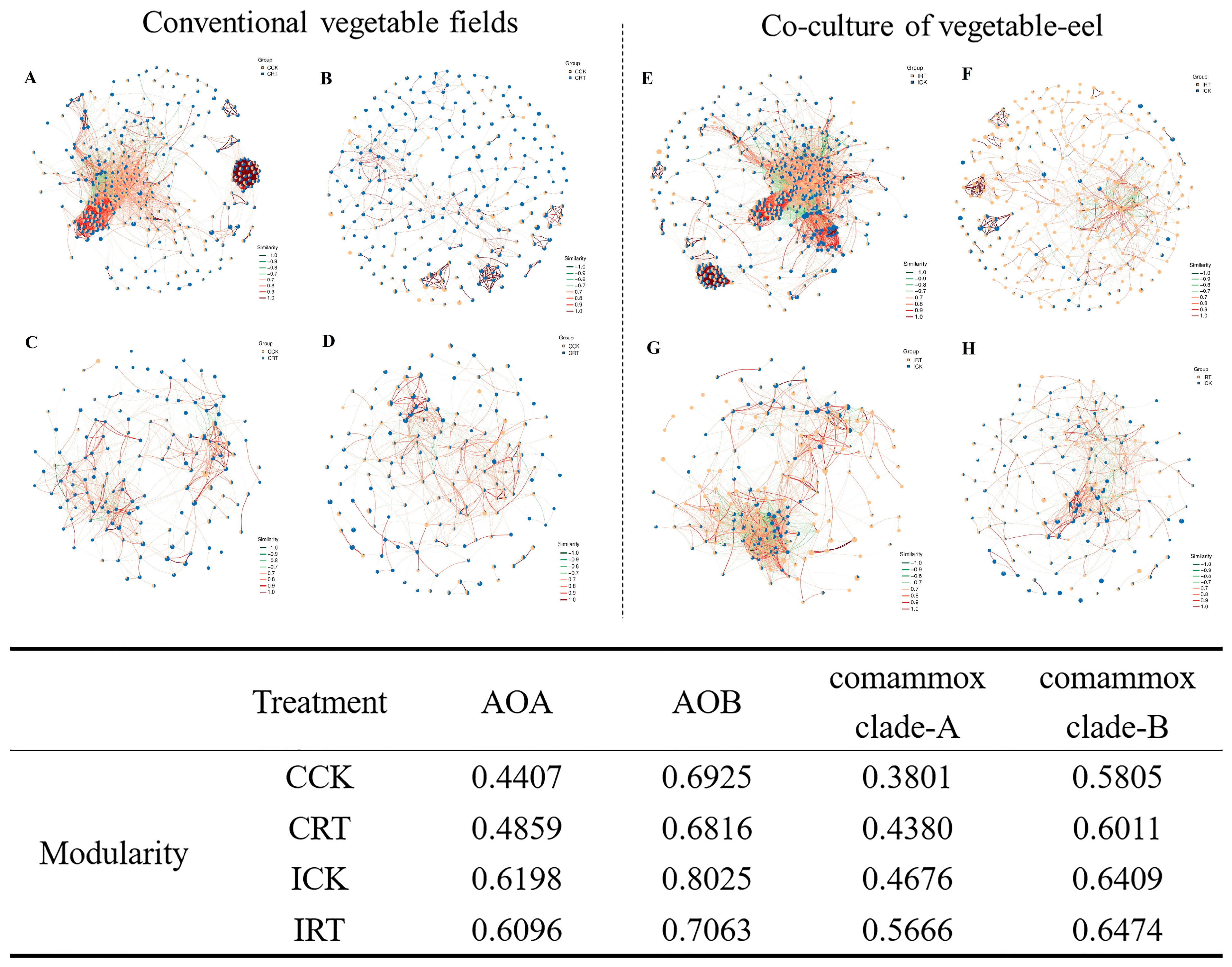 Agronomy 14 02823 g006