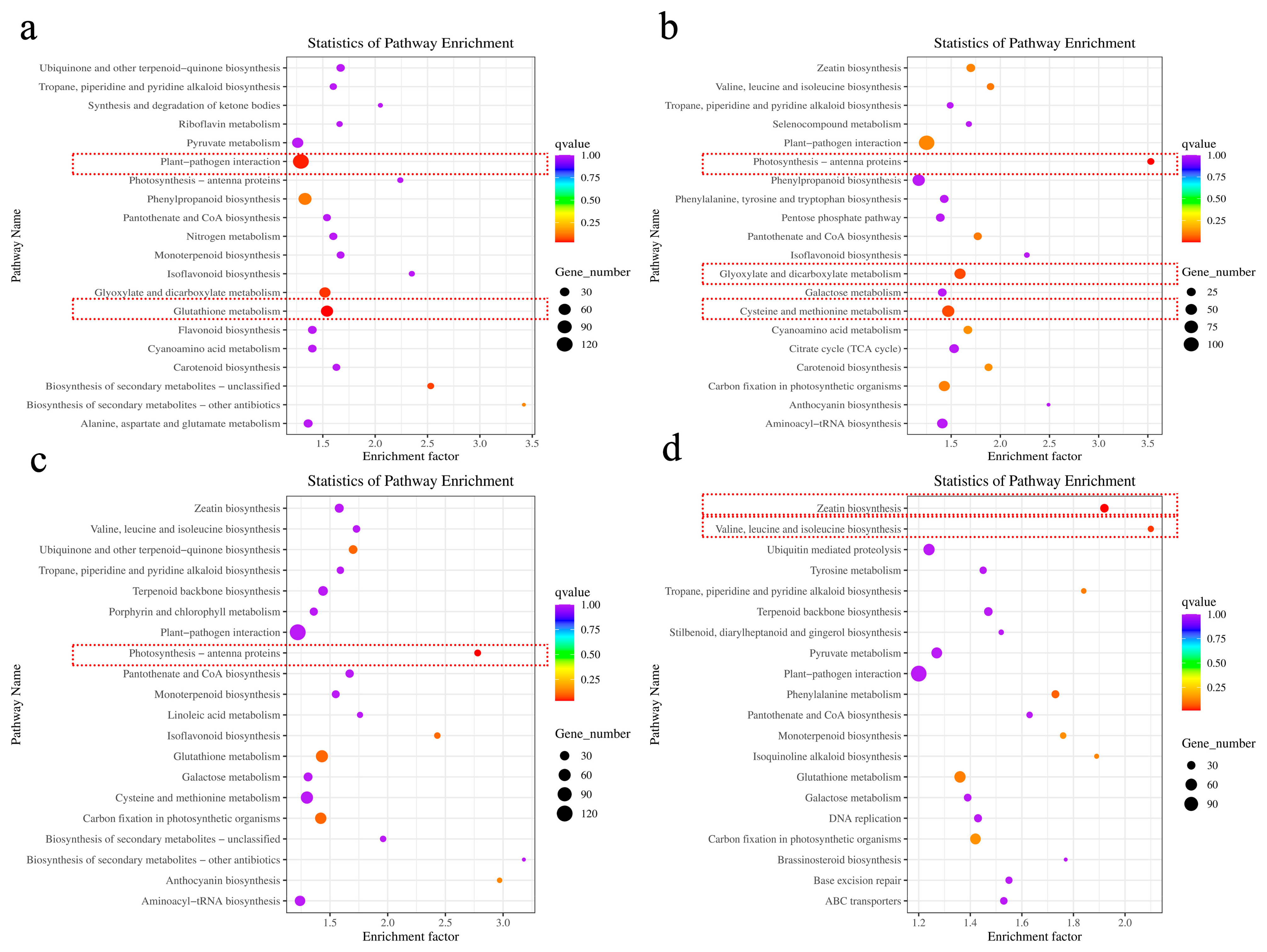Agronomy 14 02824 g003