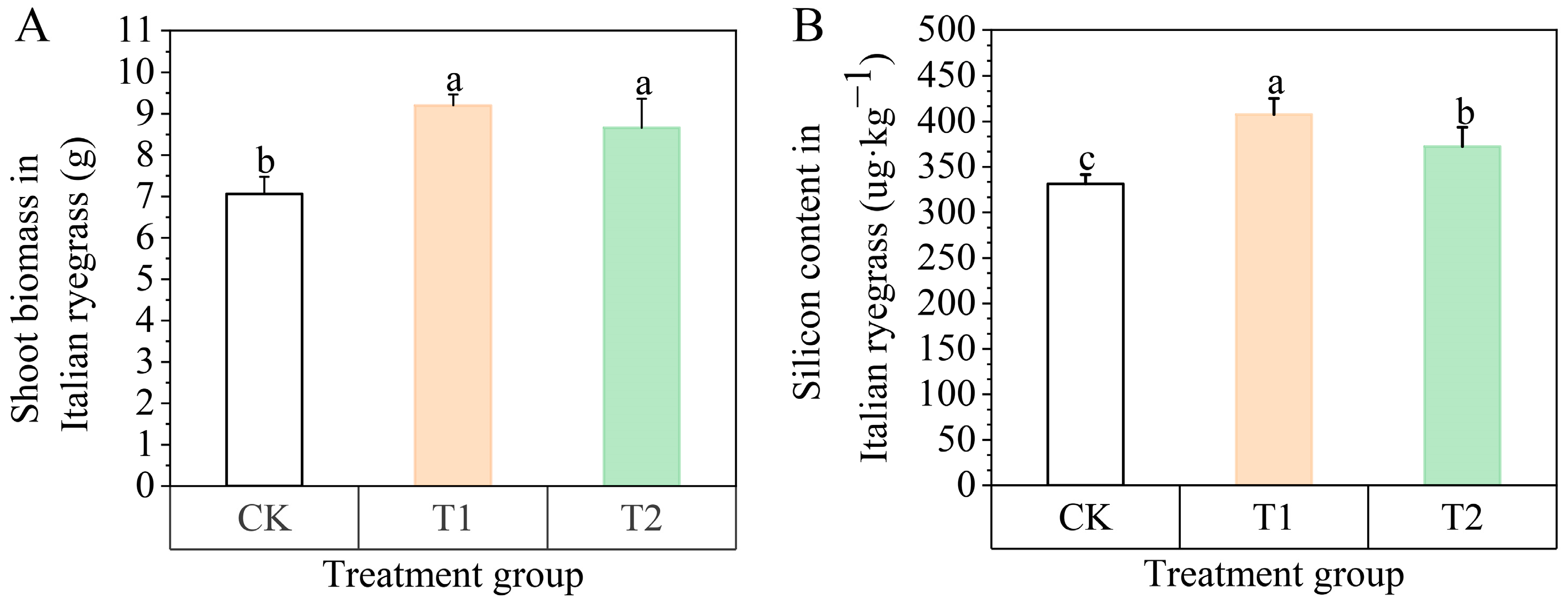 Agronomy 14 02827 g001