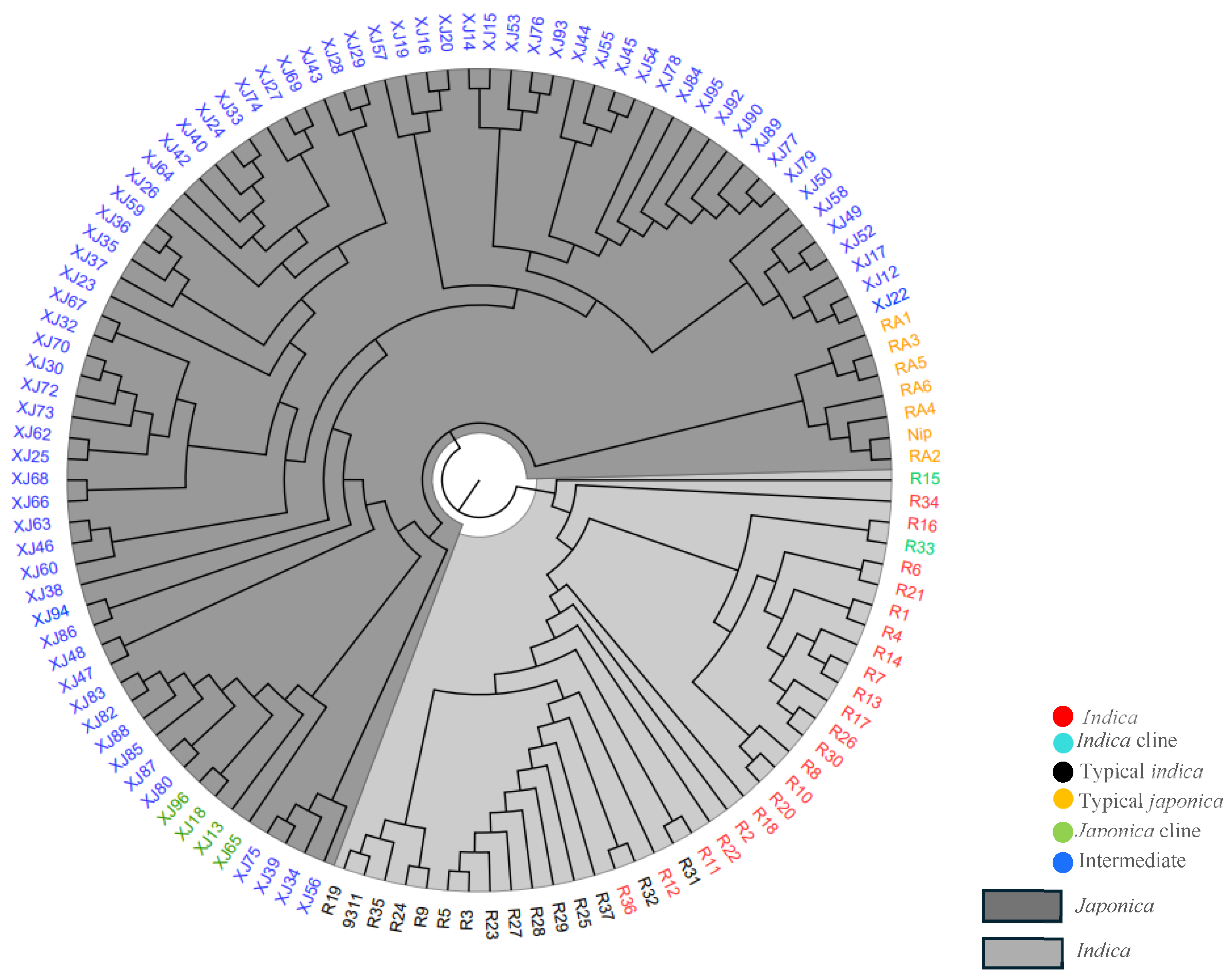 Agronomy 14 02832 g002
