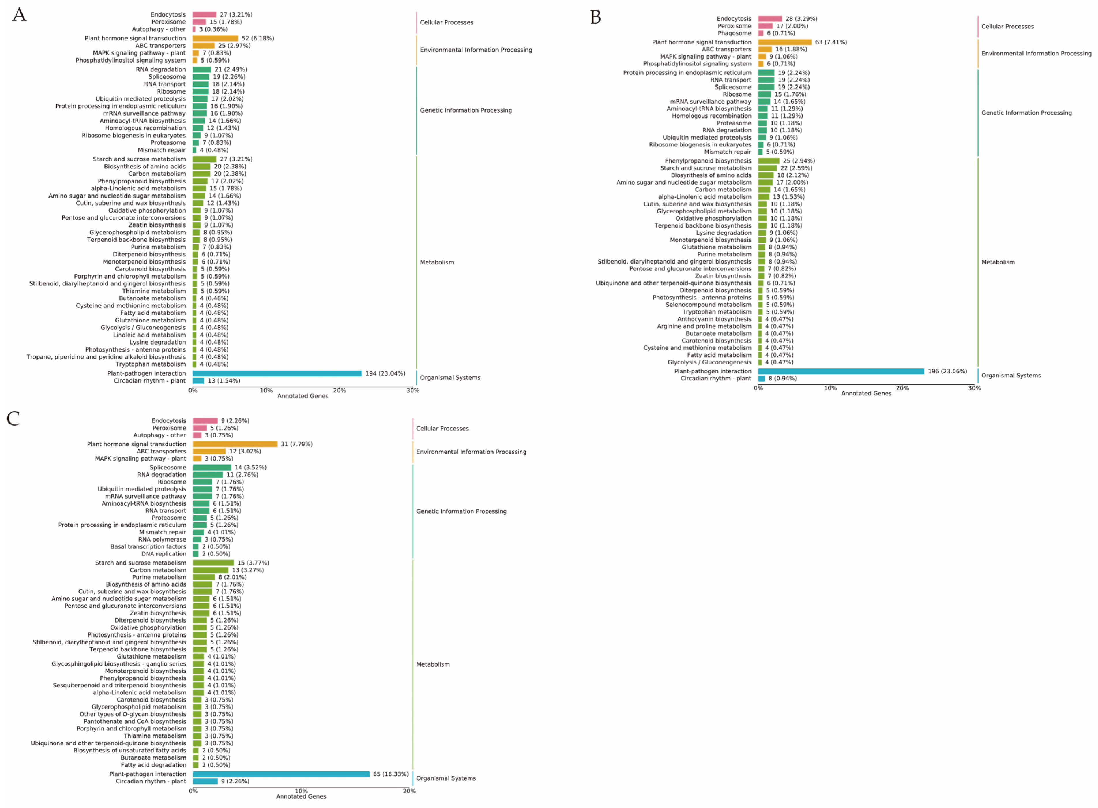 Agronomy 14 02833 g008