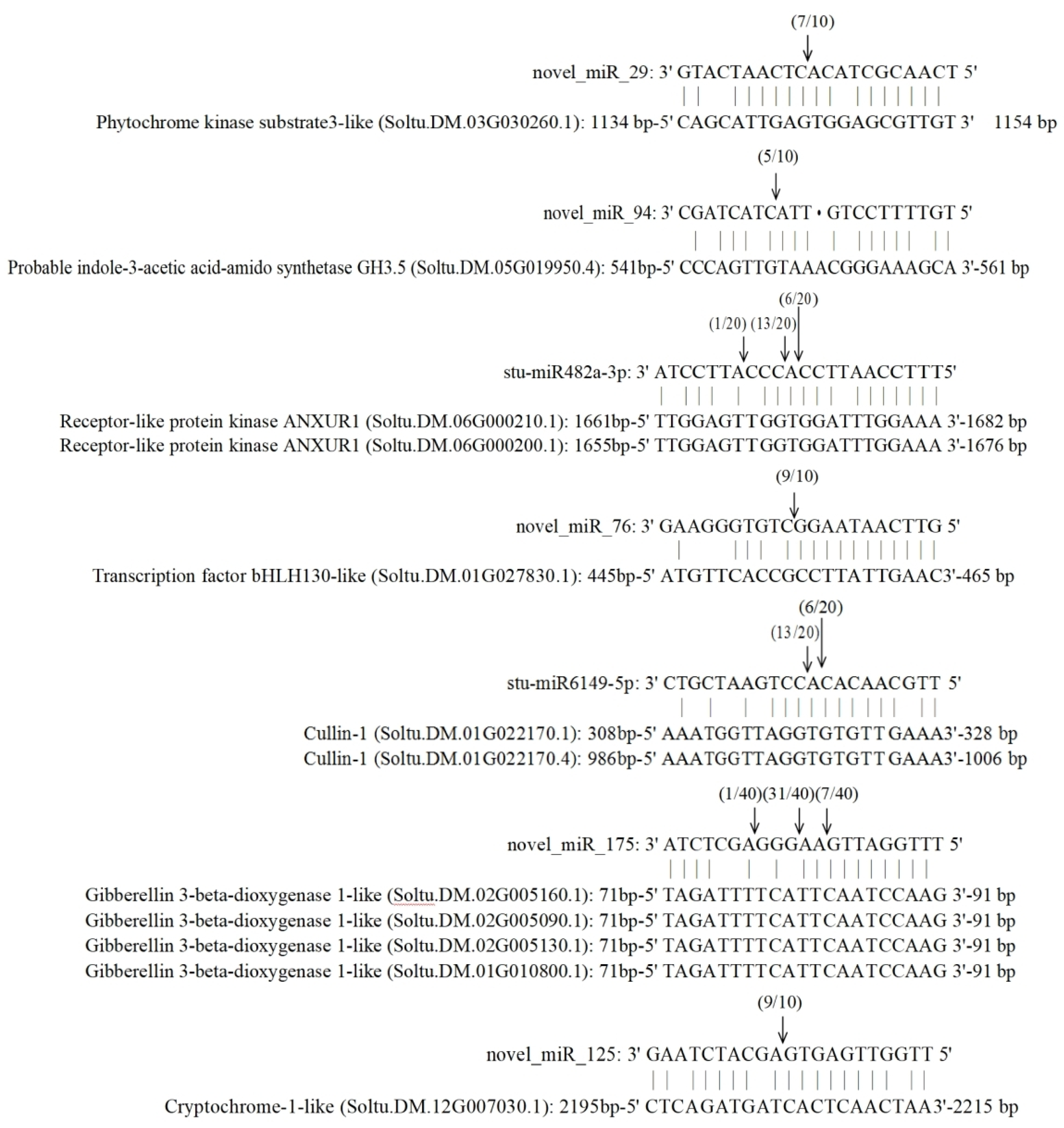 Agronomy 14 02833 g009