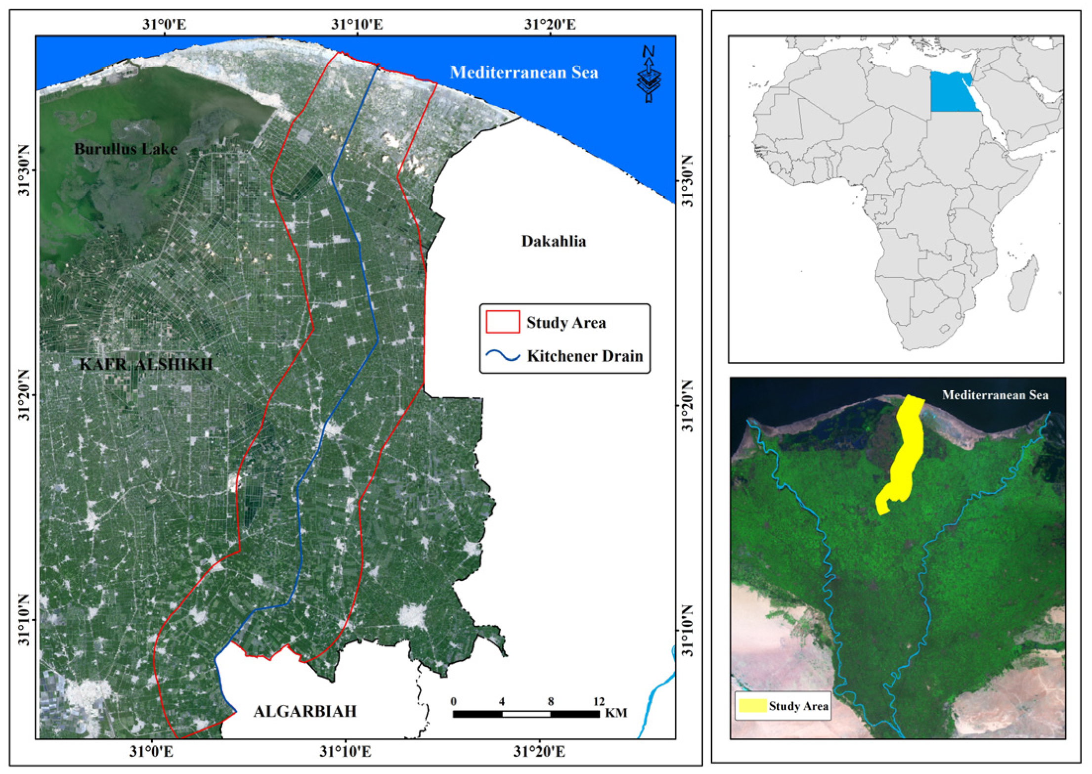 Agronomy 14 02834 g001